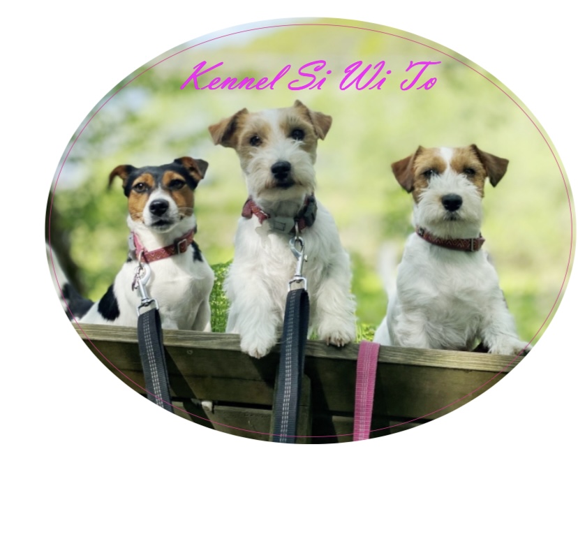 Kennel SiWiTo Kennel SiWiTo