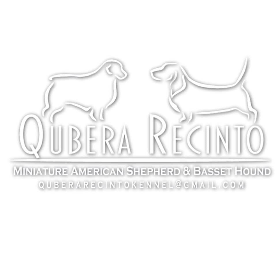 André Melby André Melby