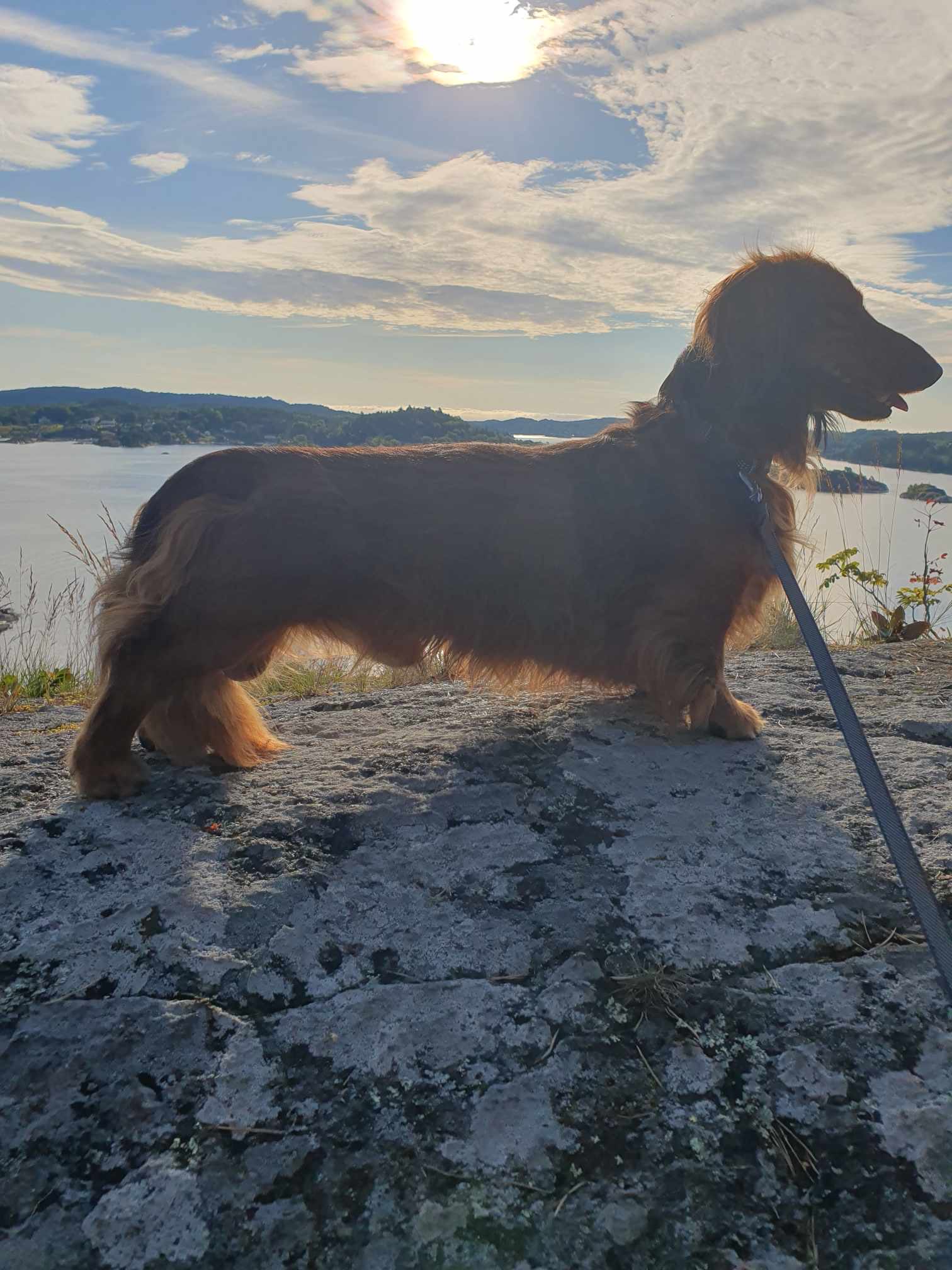 Bjørnøyas glimt av sol Bjørnøyas glimt av sol