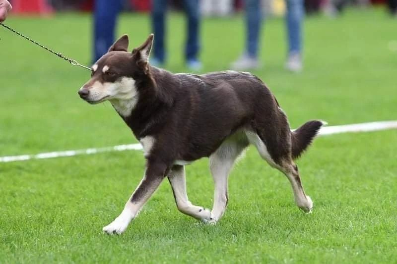 Sol Støvind Sol Støvind