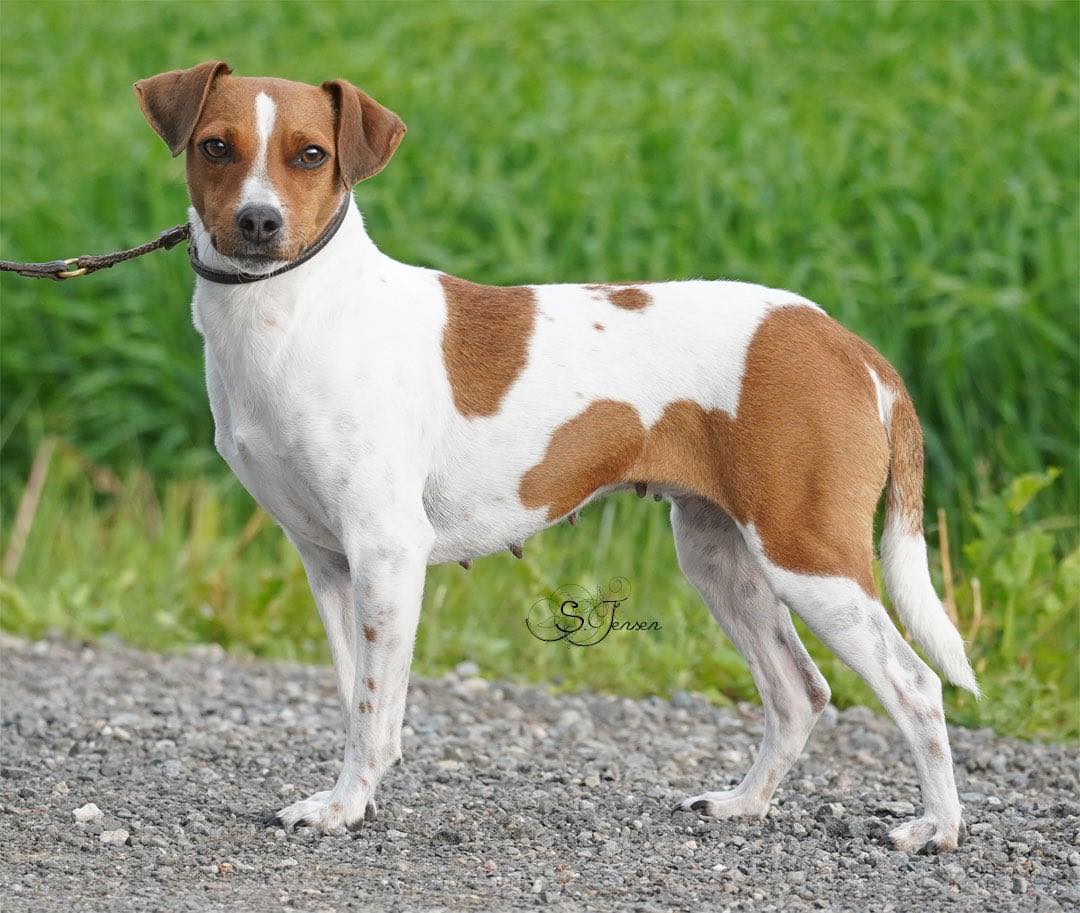 Solleon's Greek Godess - Afrodite (Petra) Solleon's Greek Godess - Afrodite (Petra)