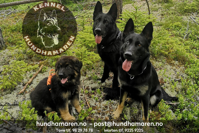 Hundhamaren Hundhamaren