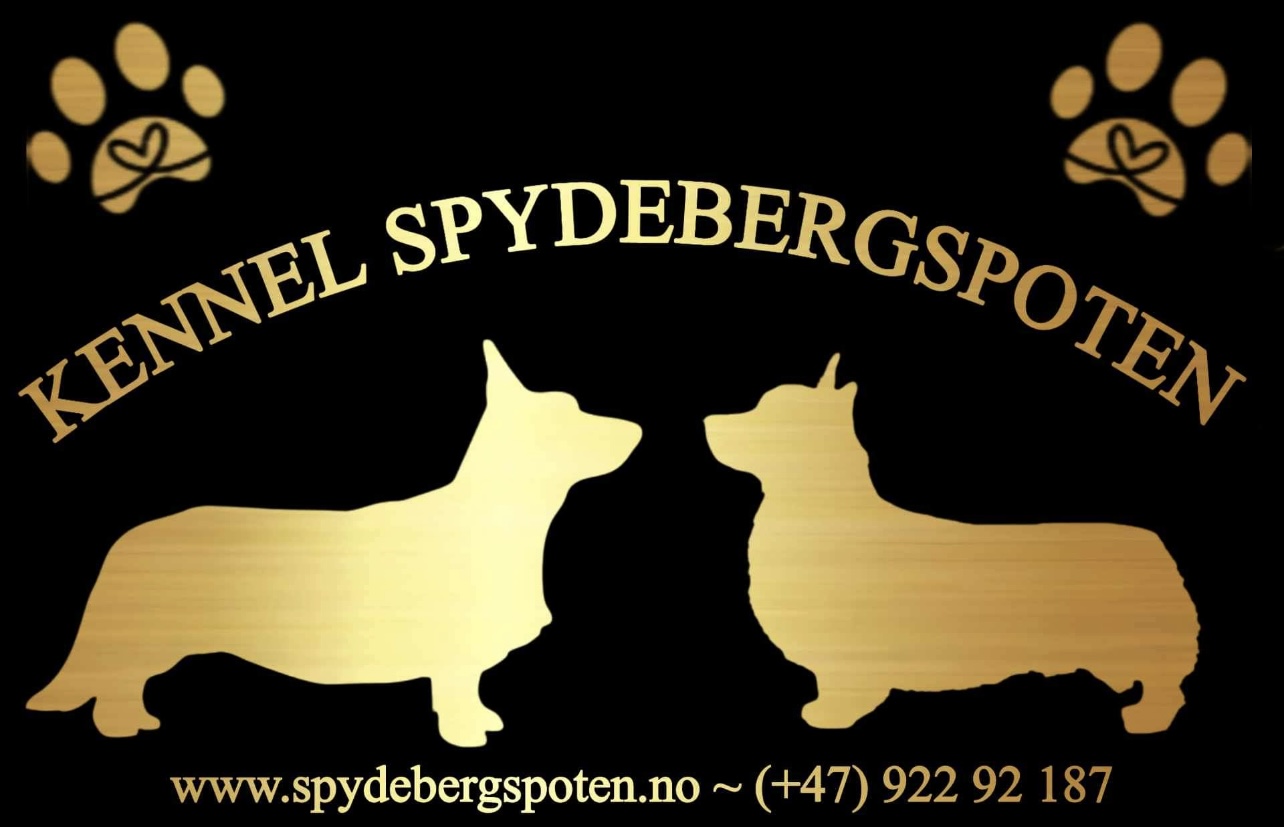 Spydebergspoten Spydebergspoten