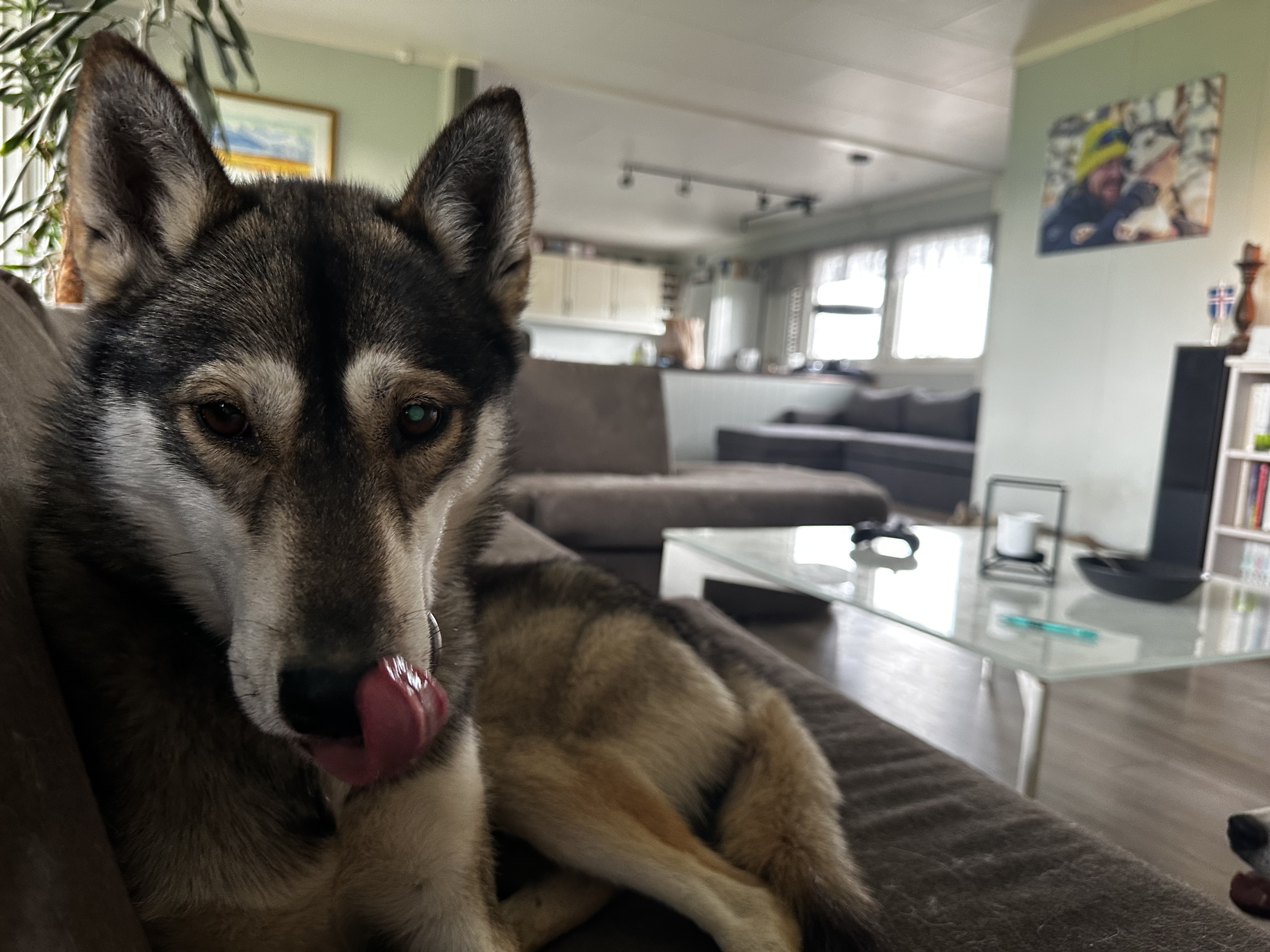 Azgard Phoenix Lady Naya Andromeda Azgard Phoenix Lady Naya Andromeda