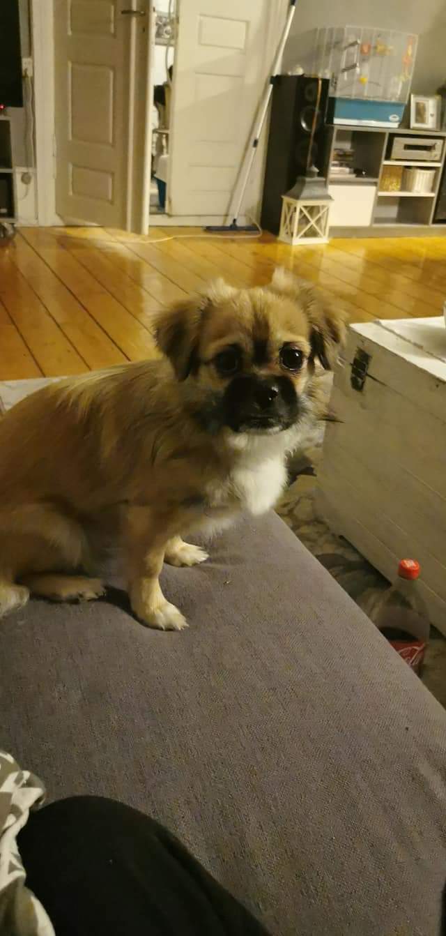 Trundletail's L kull Trundletail's L kull