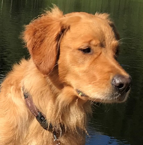 Luna Snefrid Luna Snefrid