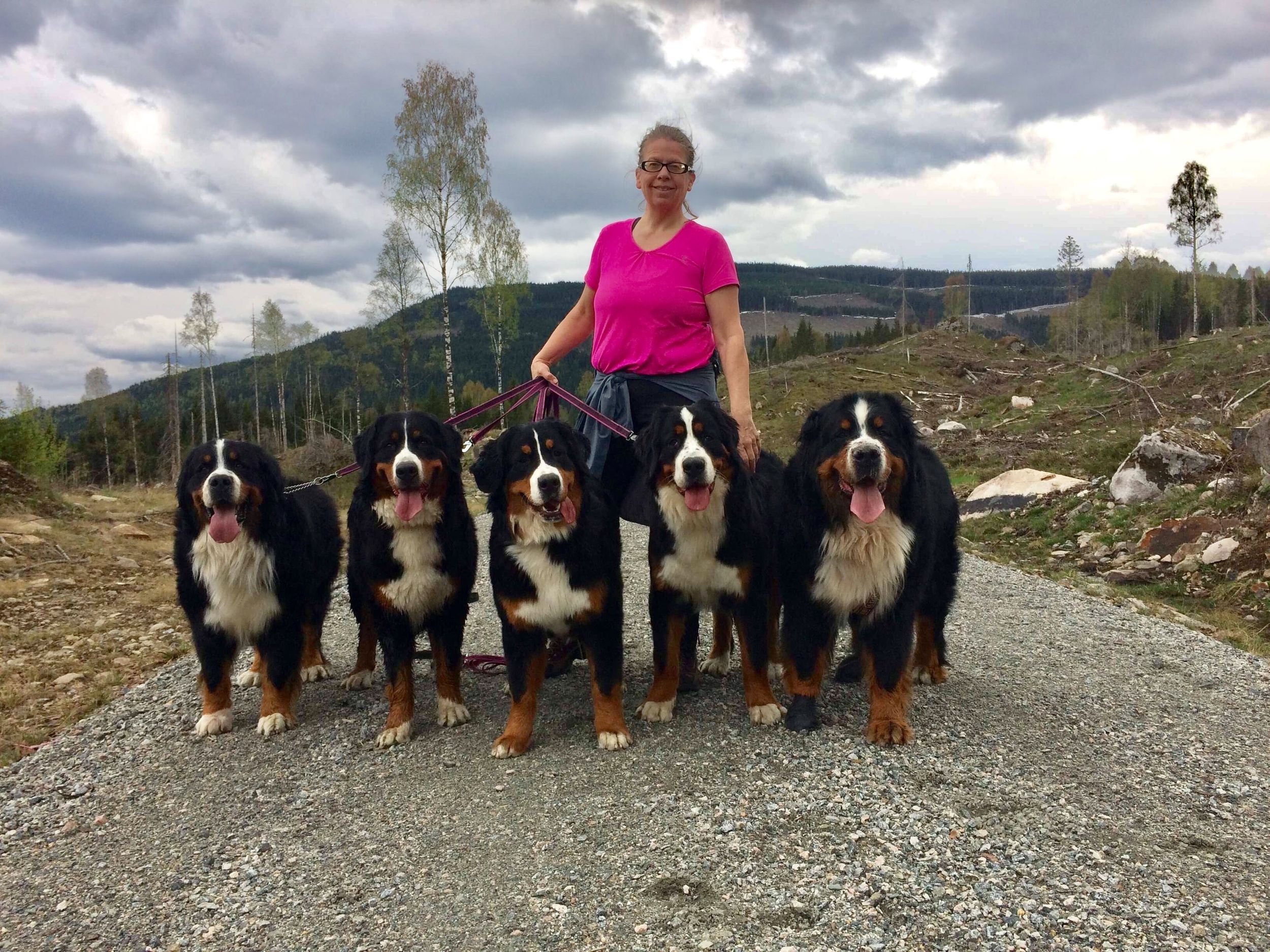 Dynamic image Dynamic image