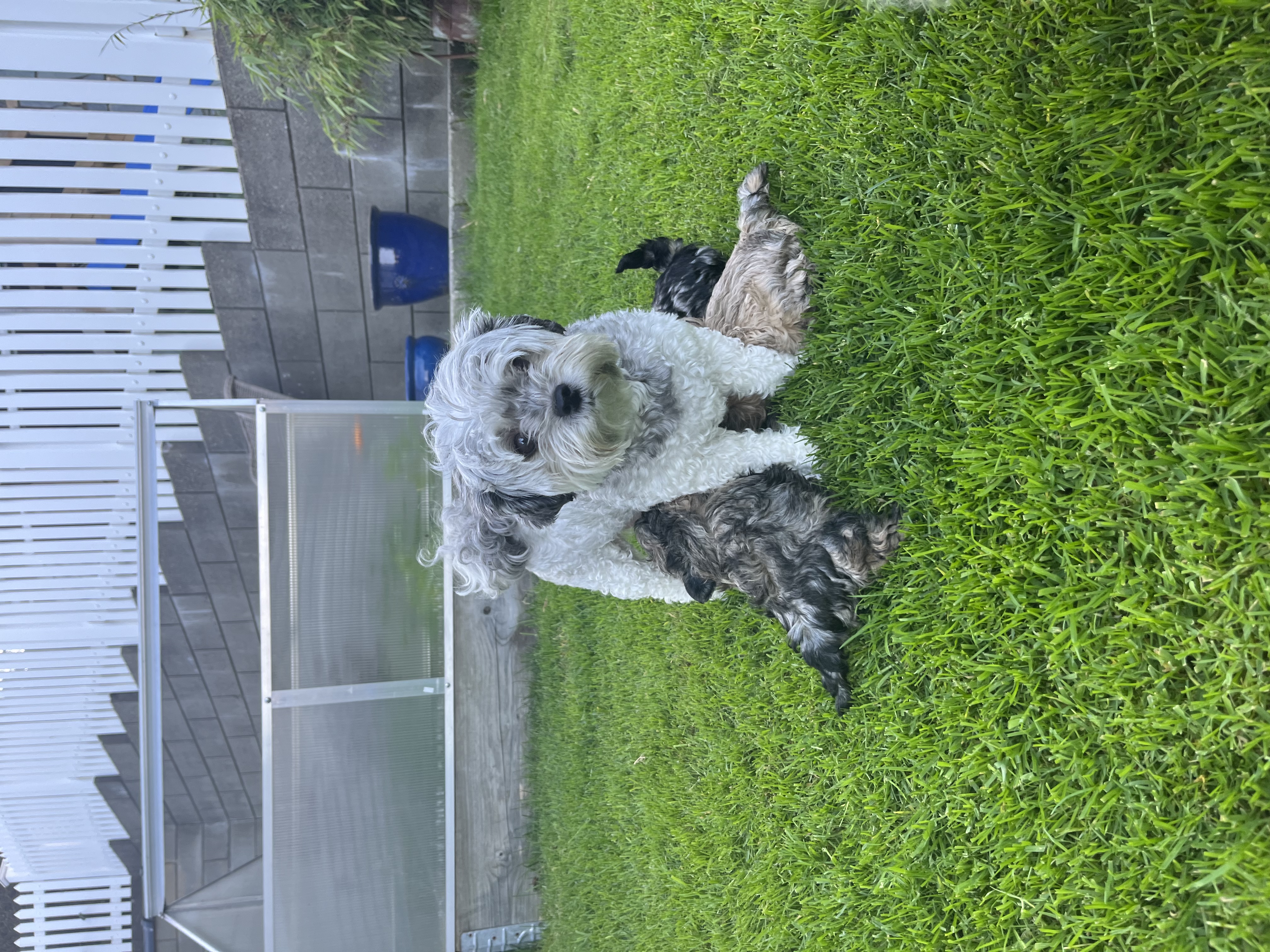 Best of all Berta Best of all Berta