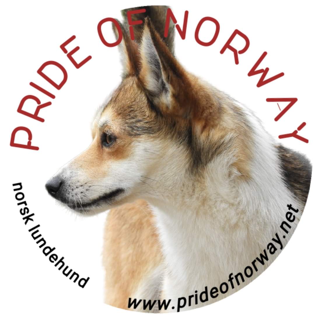 Anette Vabø-Andersen Anette Vabø-Andersen