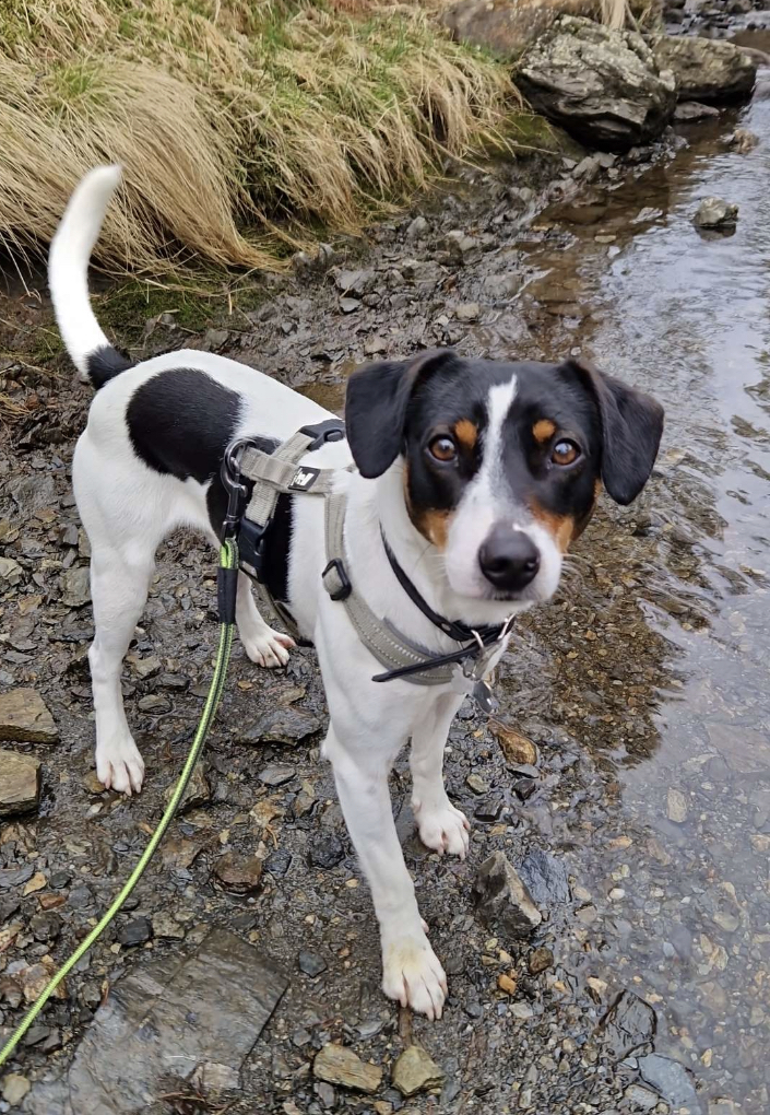 Lunnerbos Dennis Lunnerbos Dennis