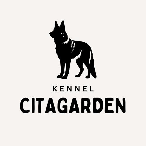 Anne Brit Balevik Anne Brit Balevik