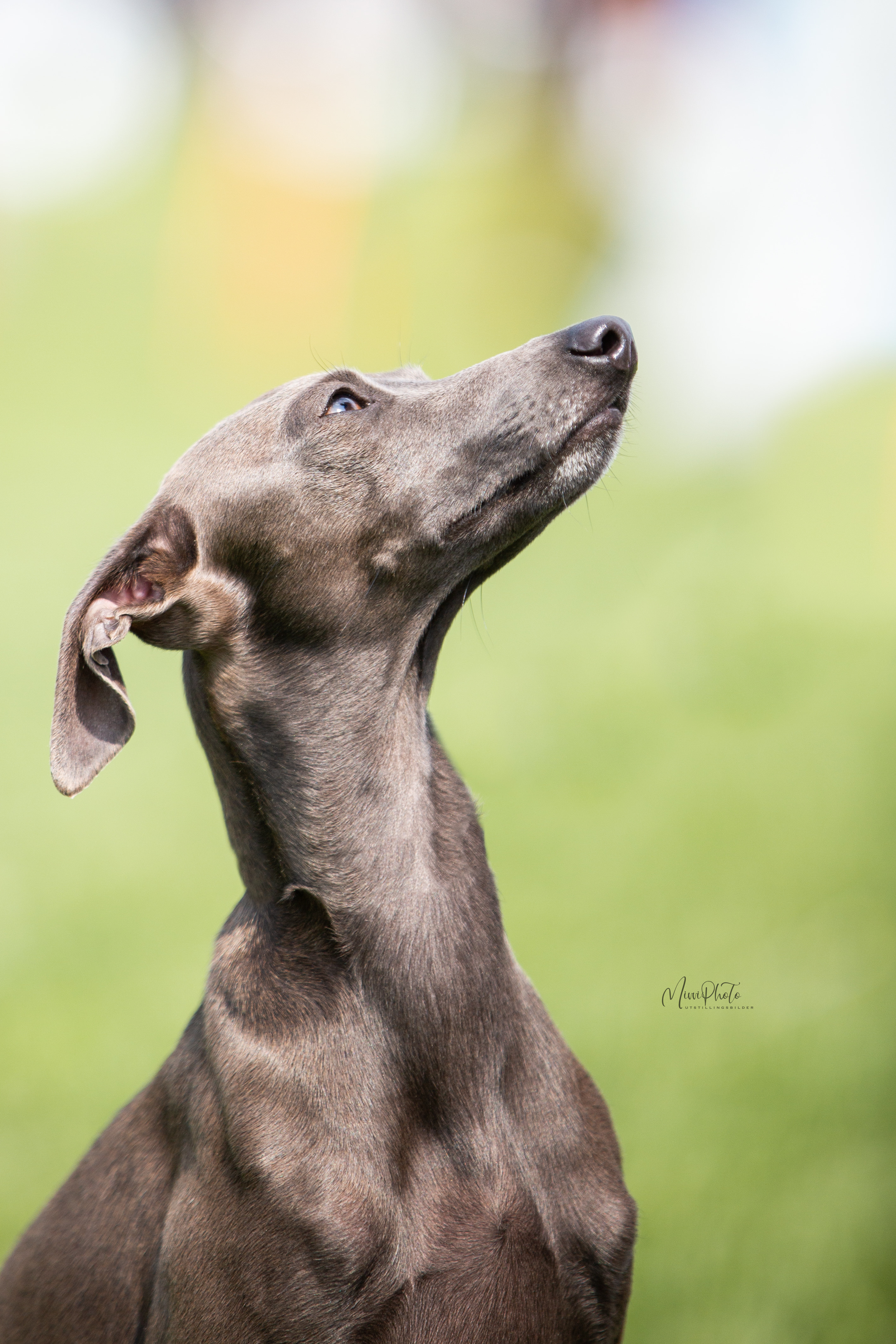 Evy Marie Brinch Evy Marie Brinch