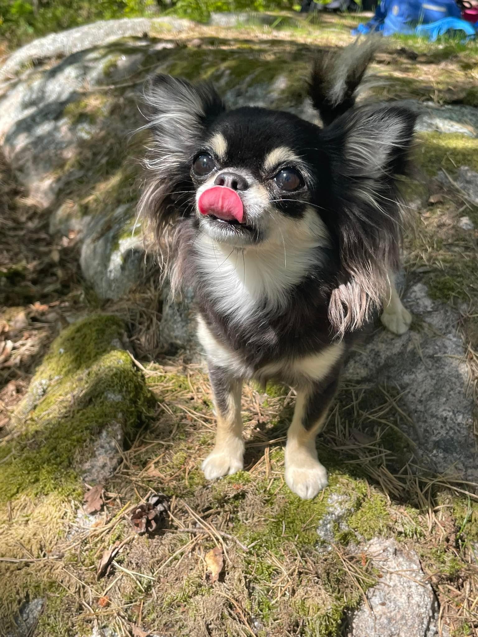 Li-Depui House of good vibration Li-Depui House of good vibration