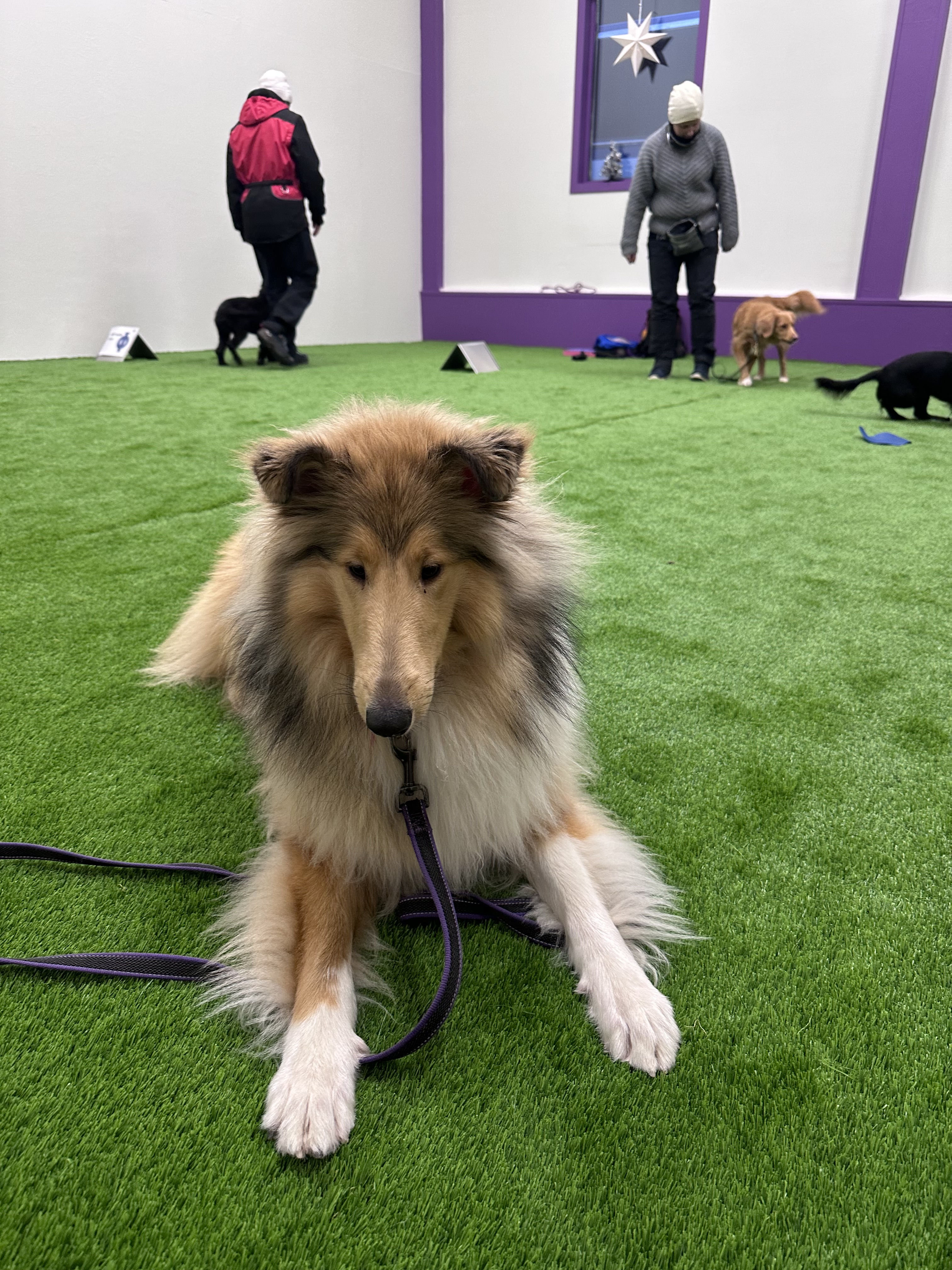 Perfect Image Where We Are At