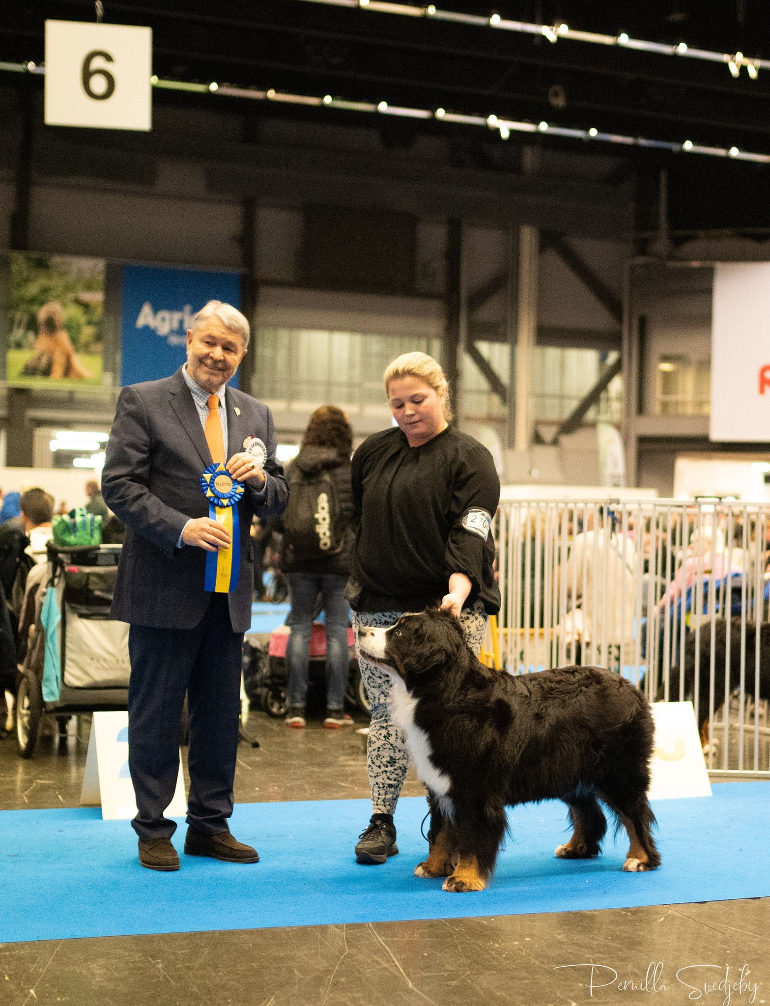 Hubba Bubba´s Widda Wunderland Hubba Bubba´s Widda Wunderland