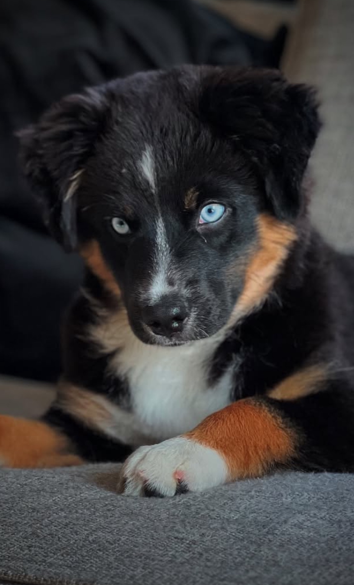 Jenny og Rune Gusterud Jenny og Rune Gusterud