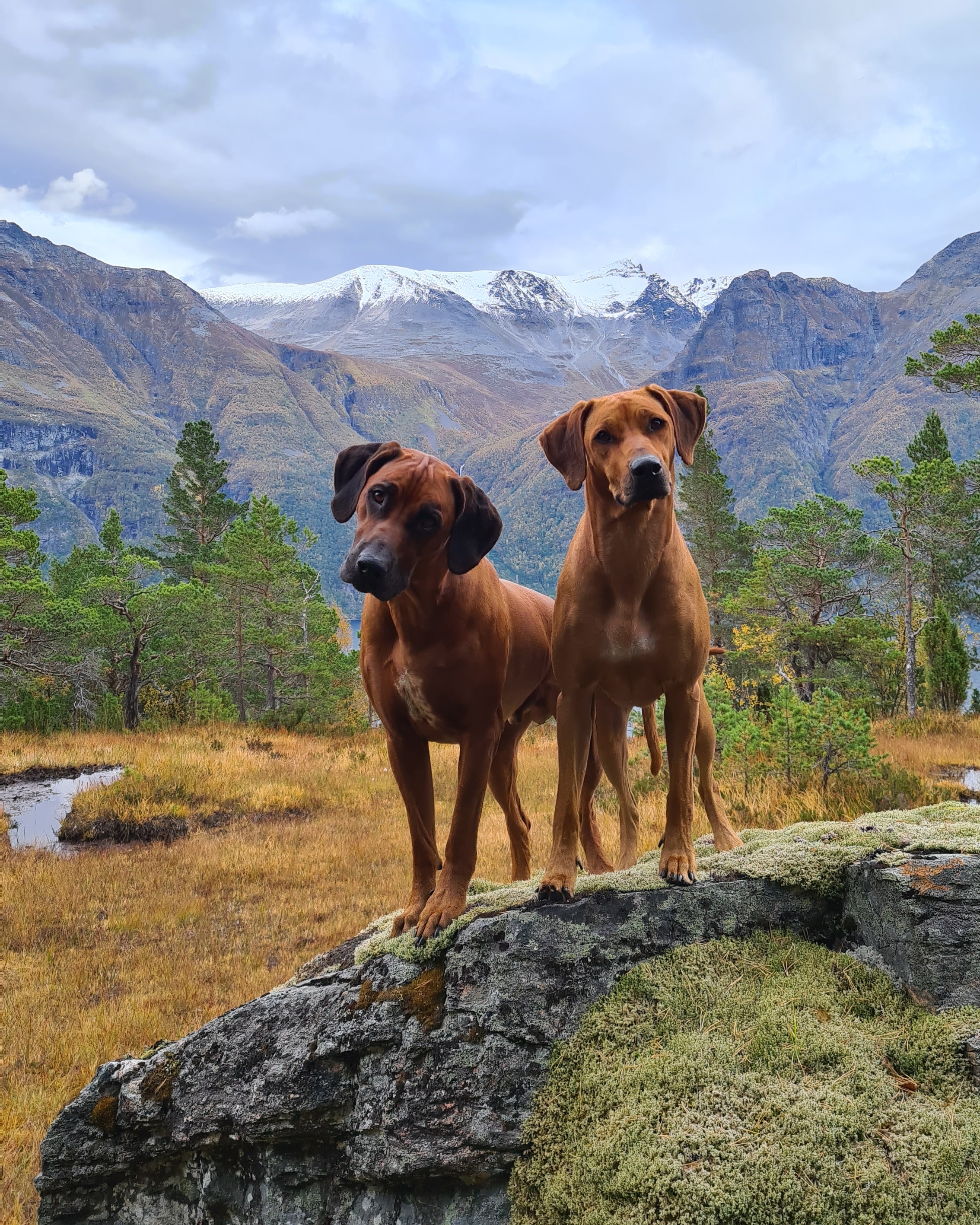 Monica Nygård Monica Nygård