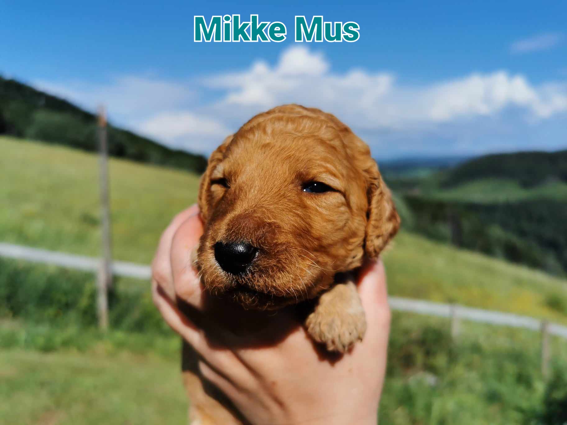 Rayos De sol Rayos De sol