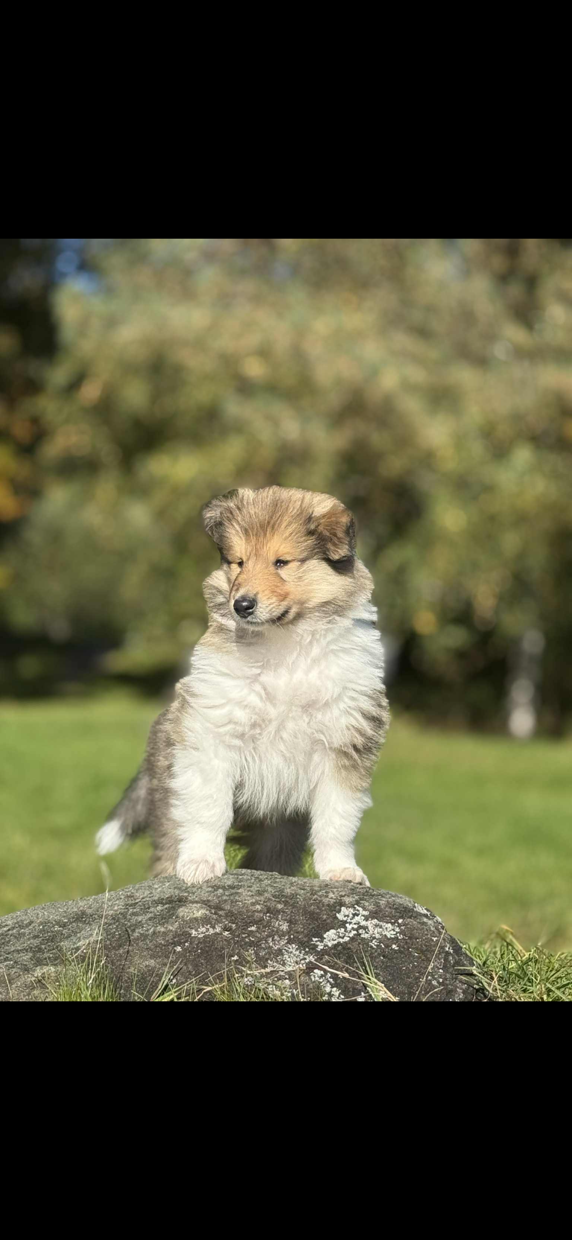 BeautyFluff Somebody to love