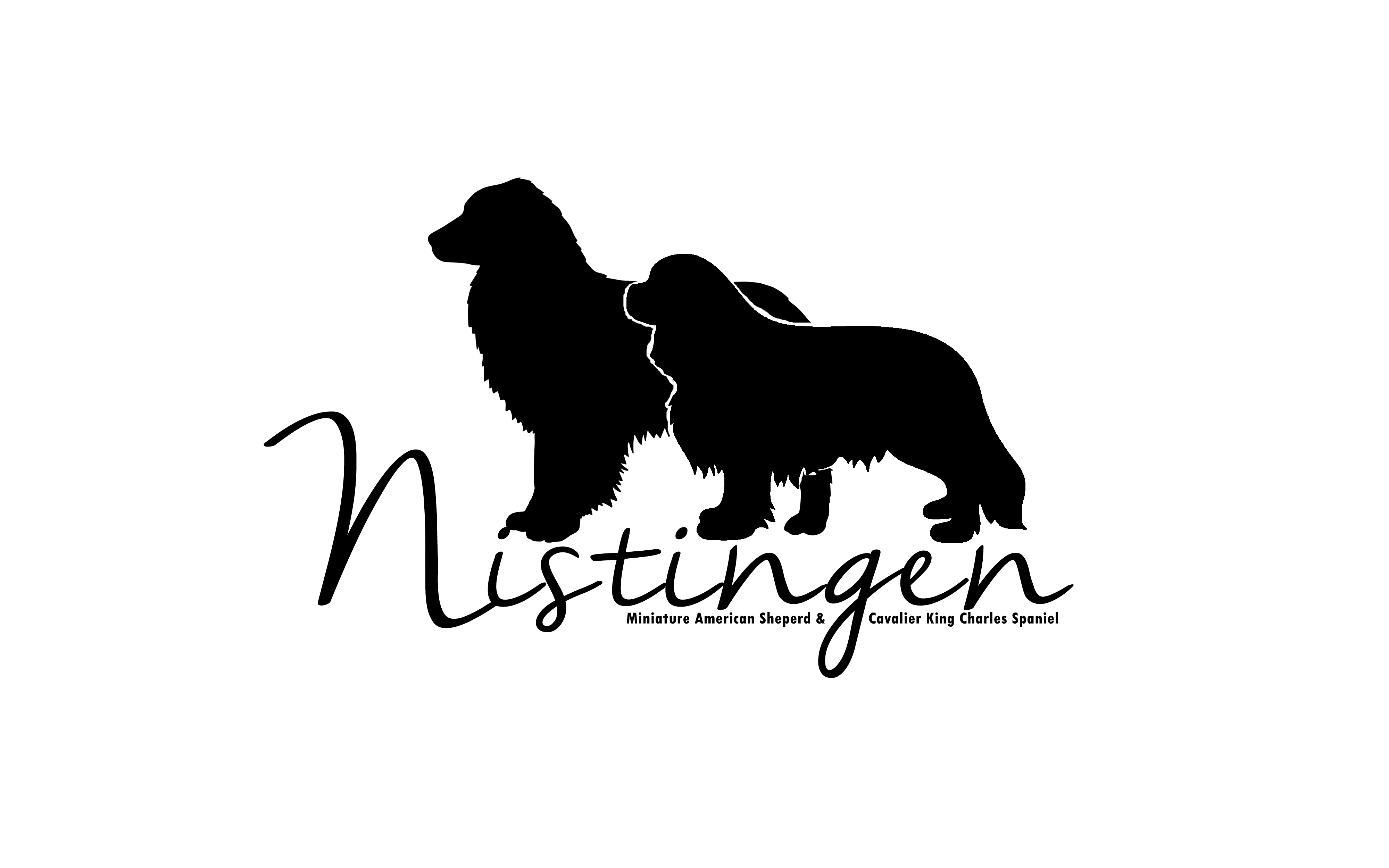 Jorunn Øyen Jorunn Øyen