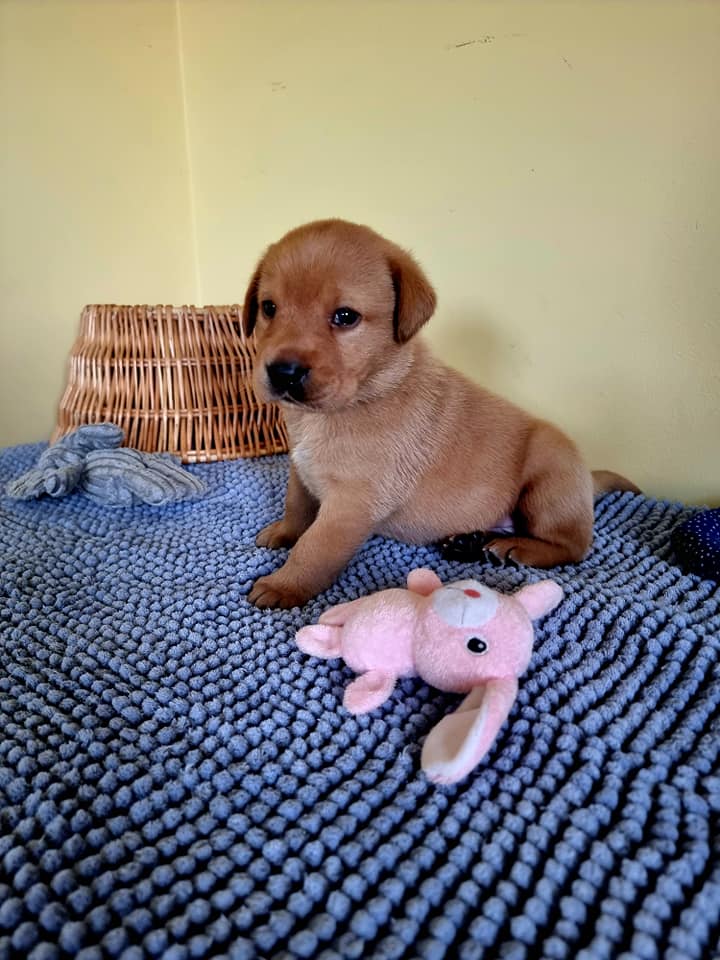 La Vita Bella La Vita Bella