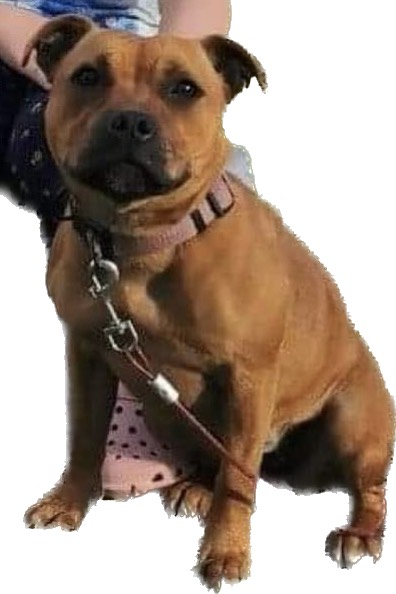 Kine Kolobekken Kine Kolobekken