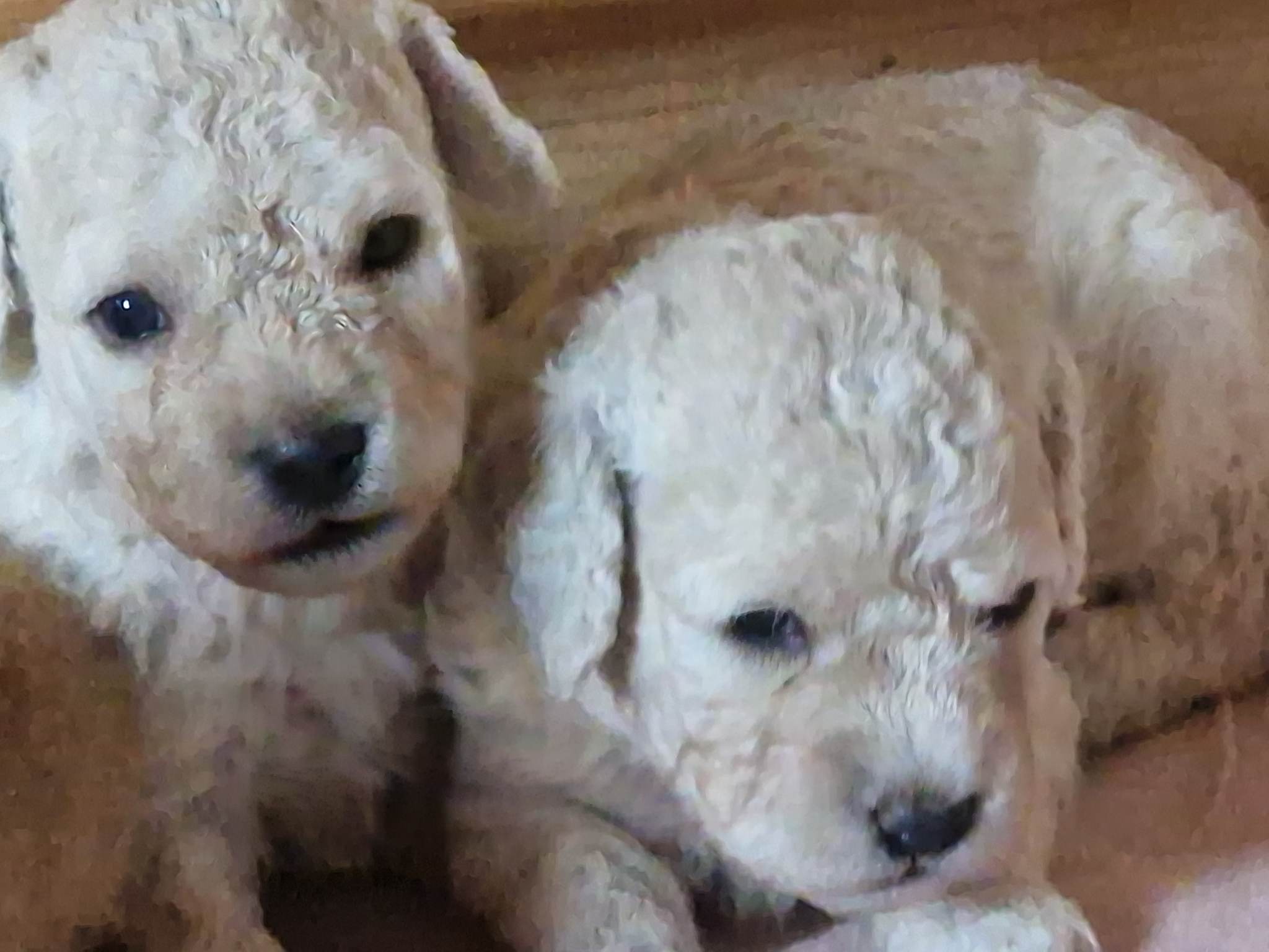 Summer Fun an'Games av Milkcreek Summer Fun an'Games av Milkcreek