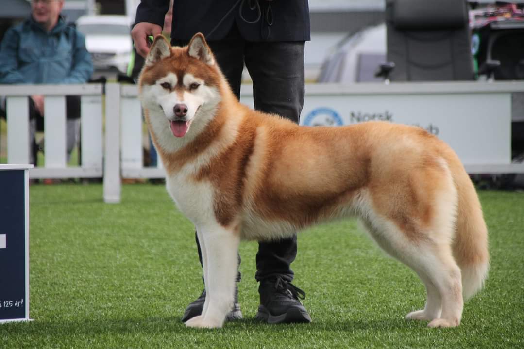 Back In Time Legend of the Spirit 