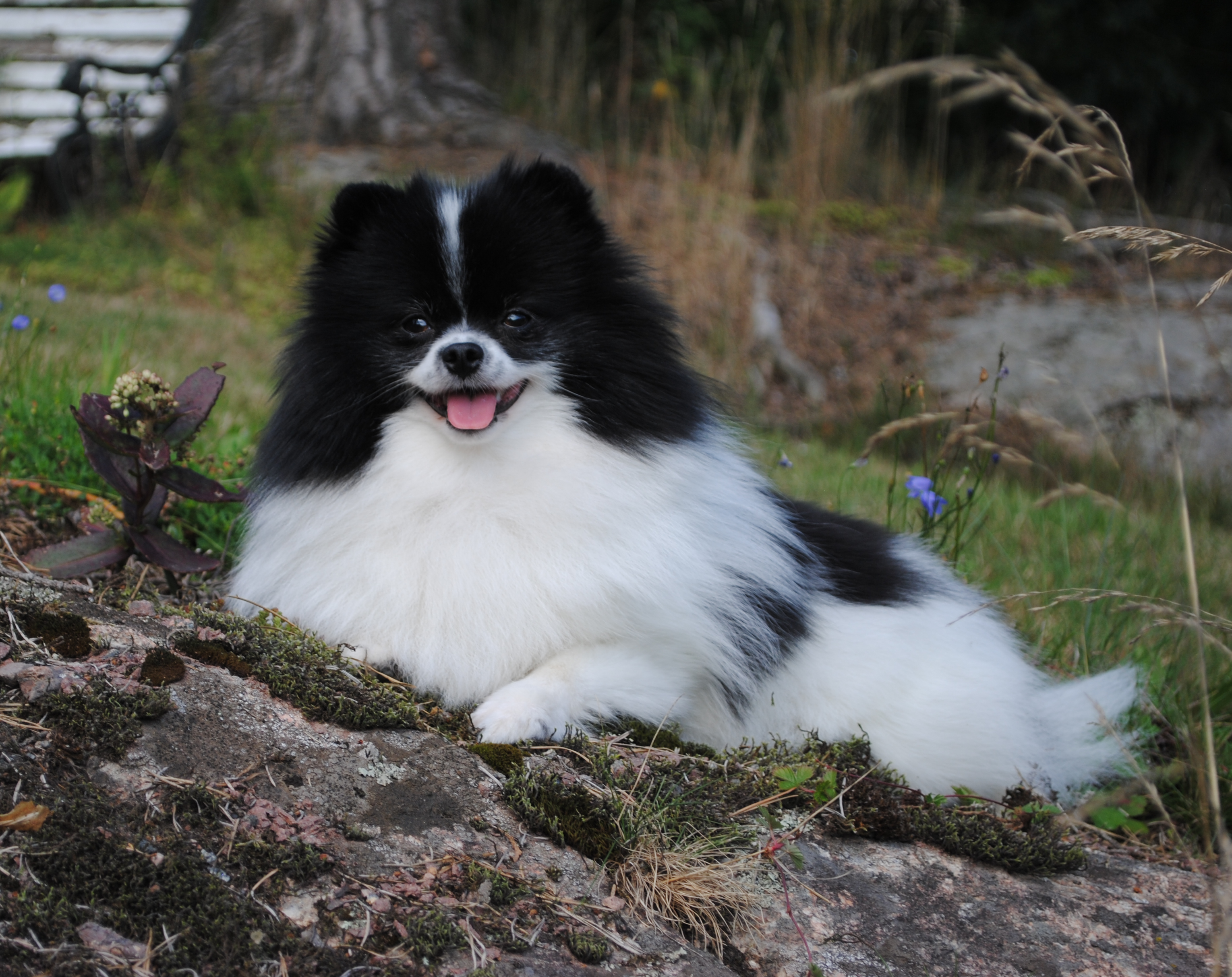 Blagoslovennoye Ditya Tsennaya Shtu