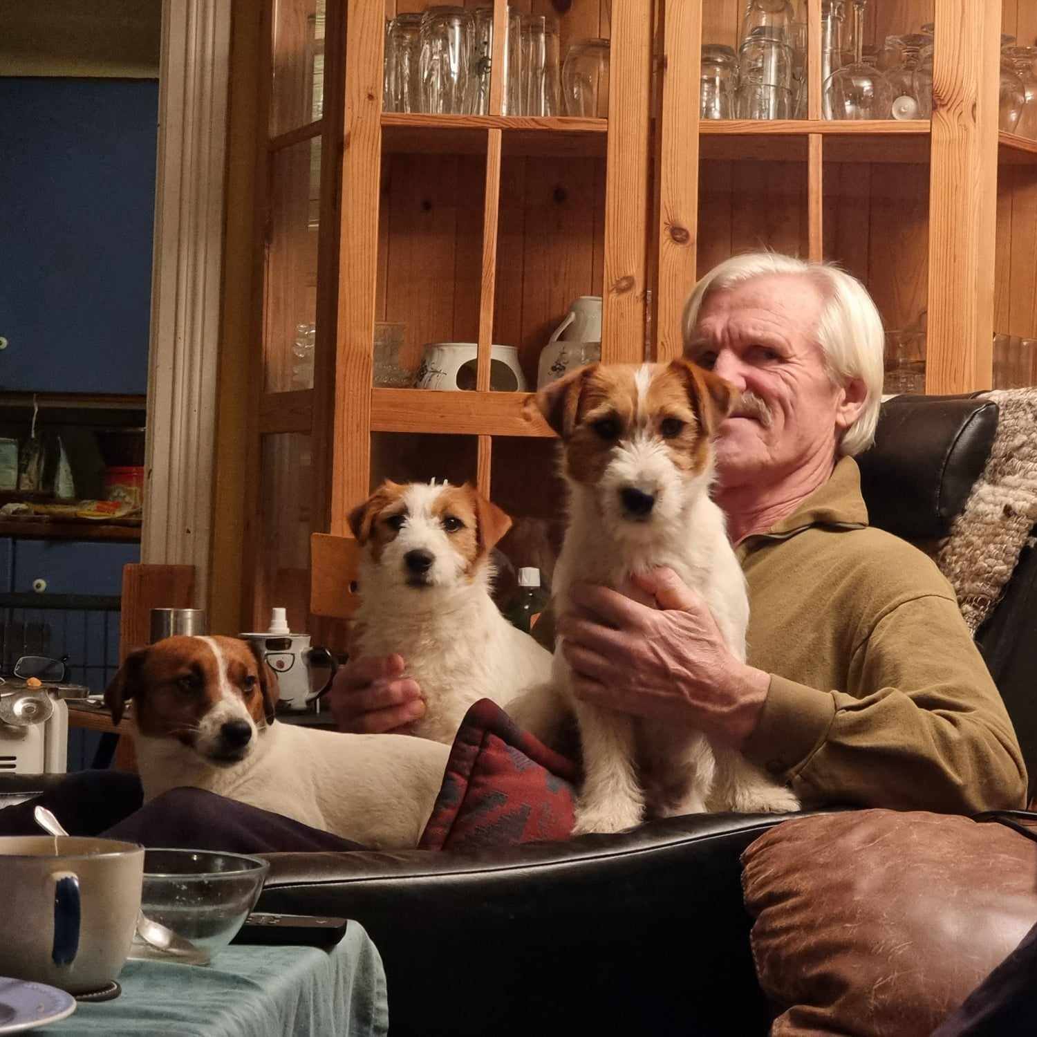 Knut Ove Bjerva Knut Ove Bjerva