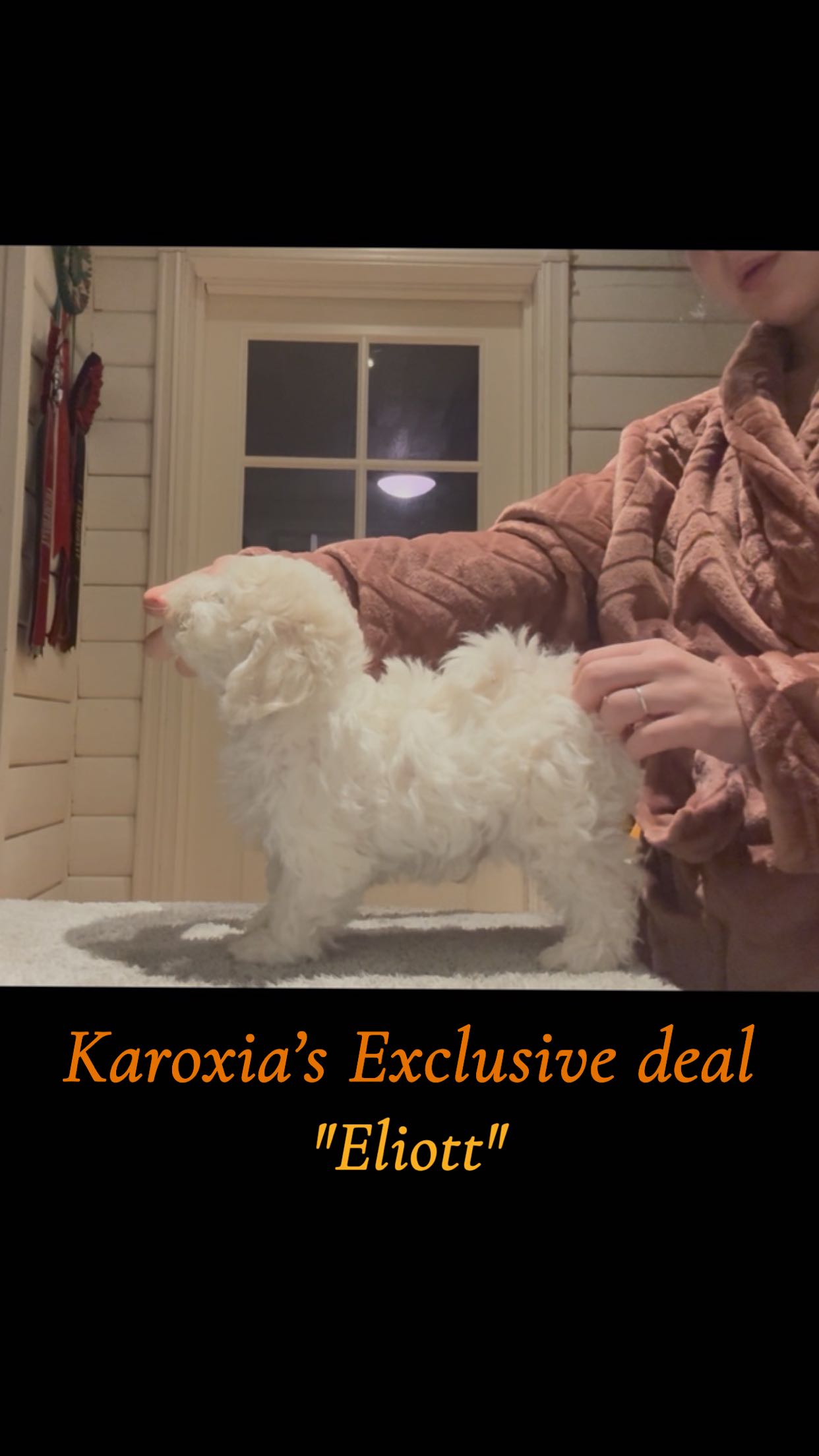 Karoxia Exclusive Deal "Eliot" Karoxia Exclusive Deal "Eliot"