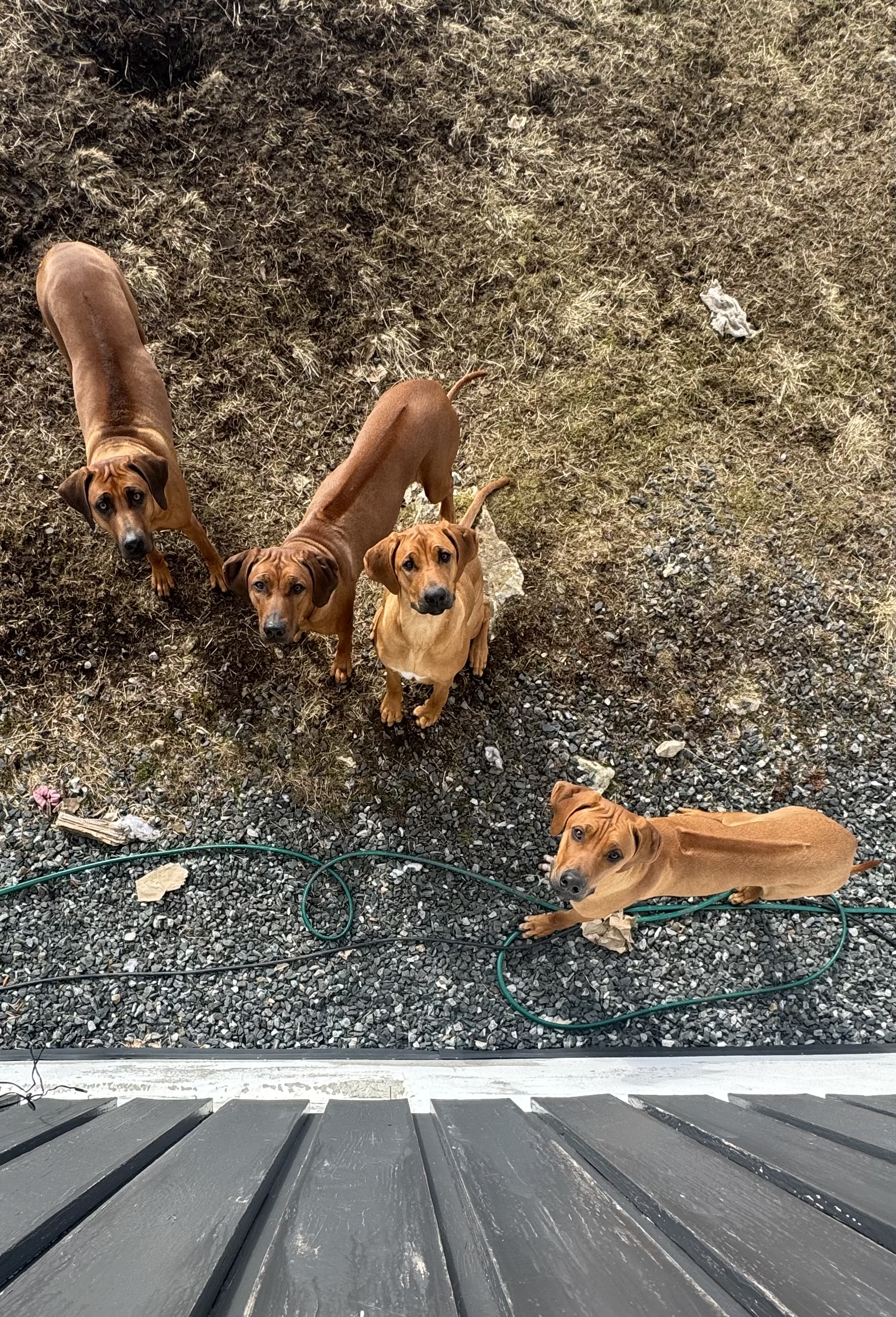 Stina Jakobsen Stina Jakobsen