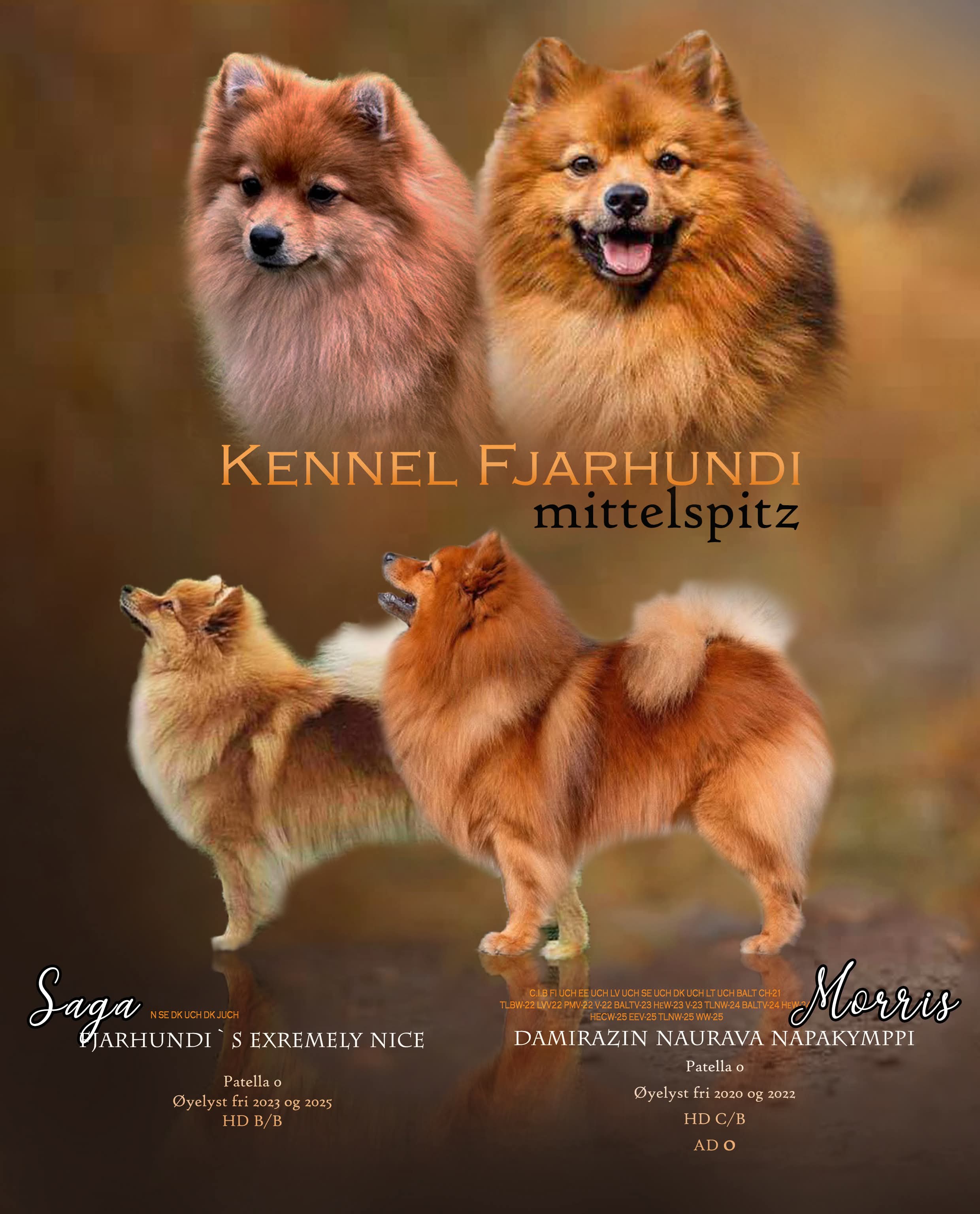 Fjarhundi`s H-kull Fjarhundi`s H-kull