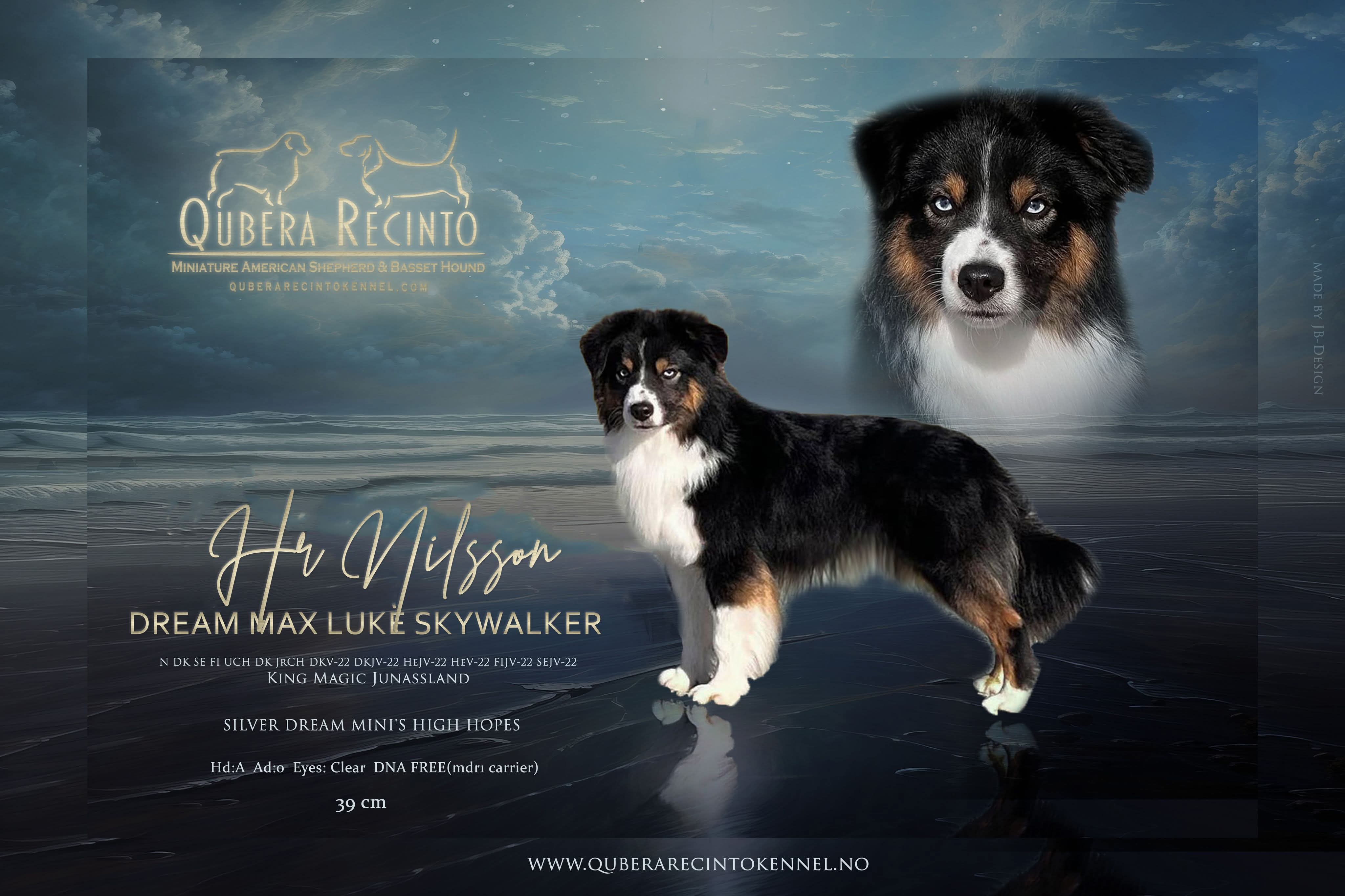 Dream Max Luke Skywalker Dream Max Luke Skywalker