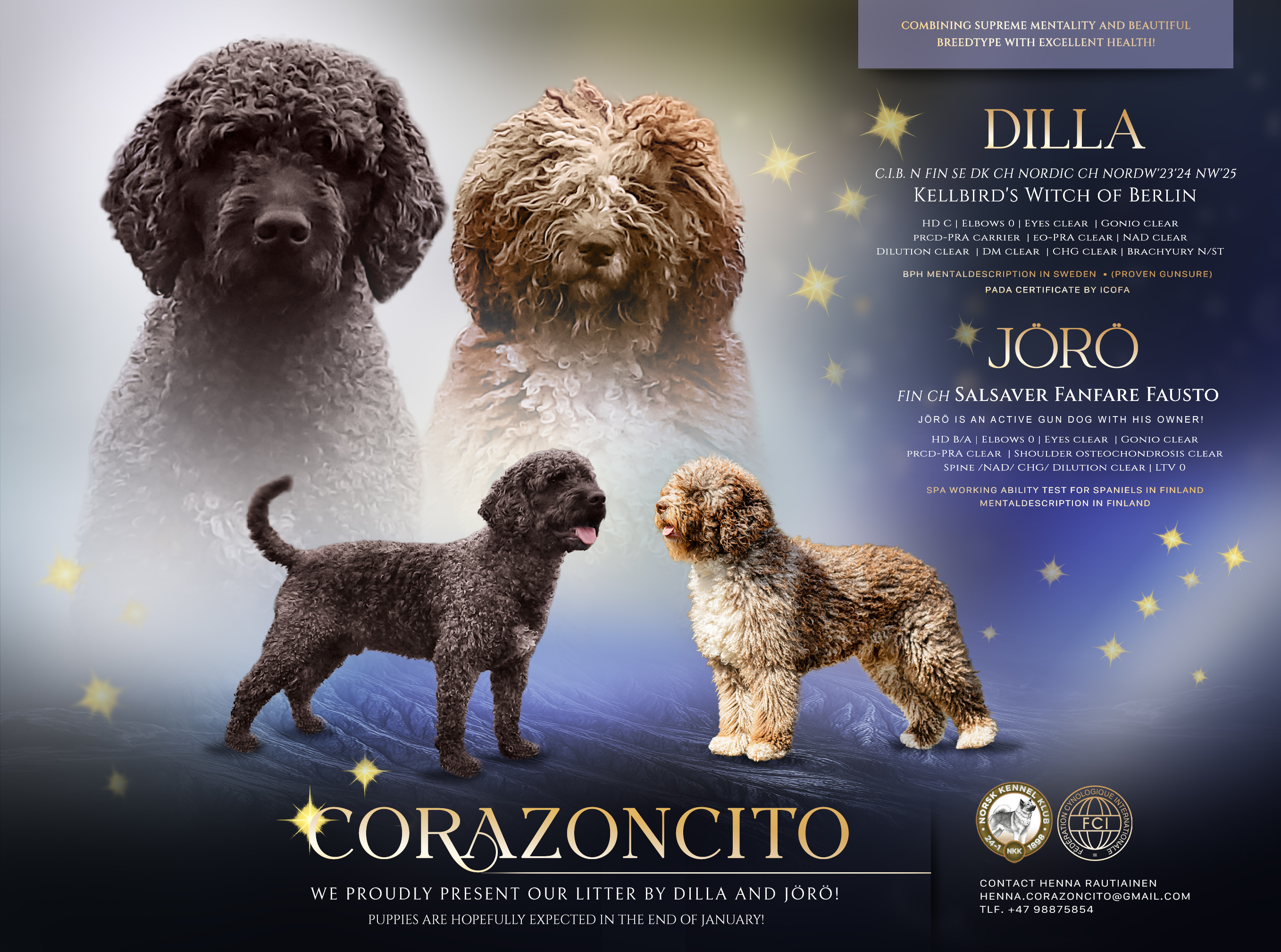 **made in Finland🇫🇮** **made in Finland🇫🇮**