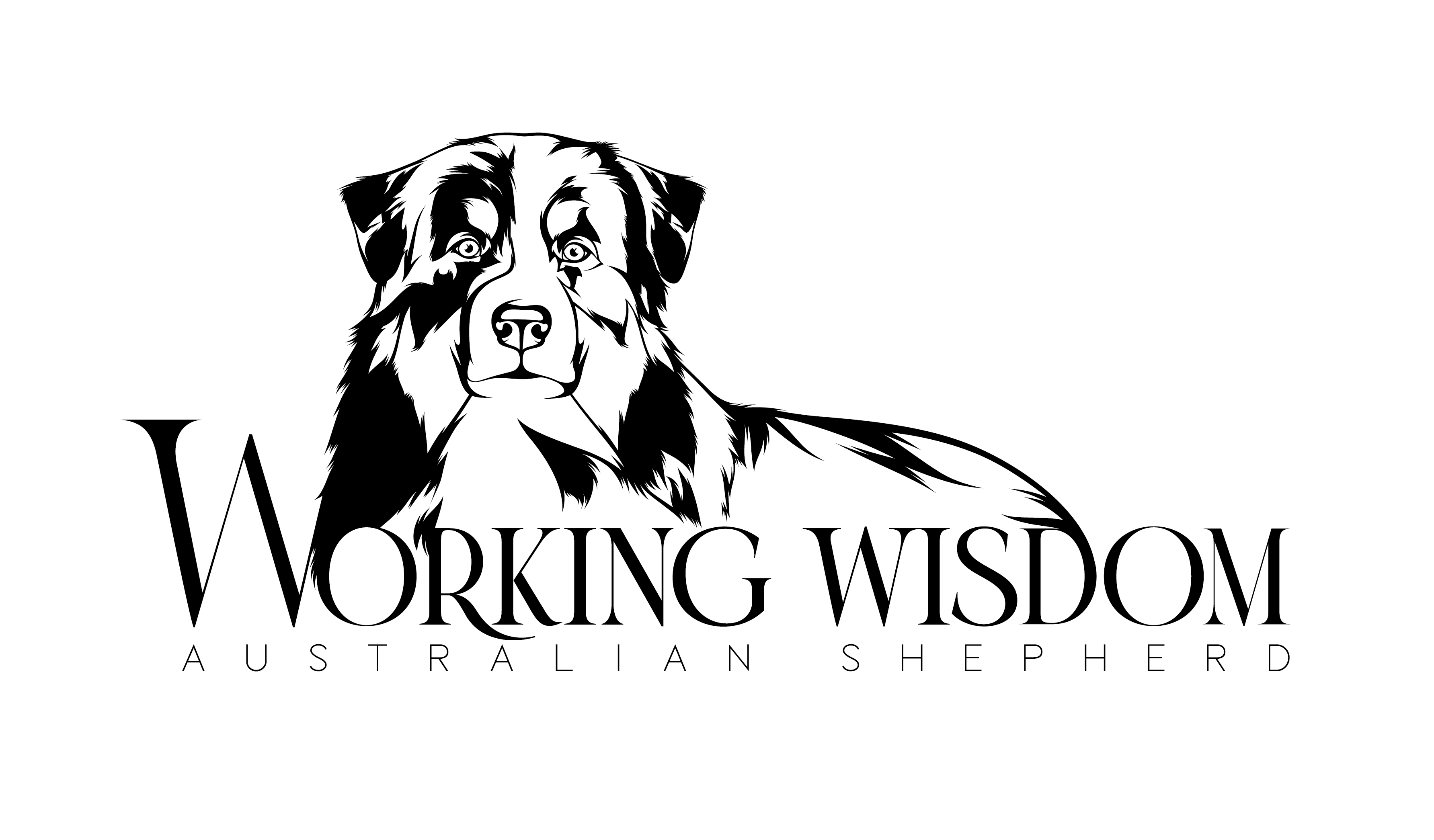 Working Wisdom Working Wisdom