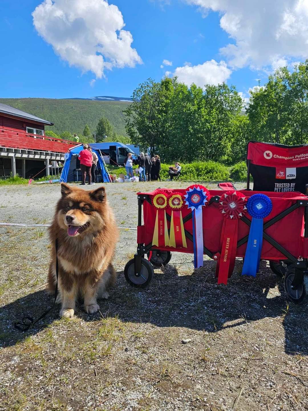 Solstjerna Quick Fast Ride Solstjerna Quick Fast Ride