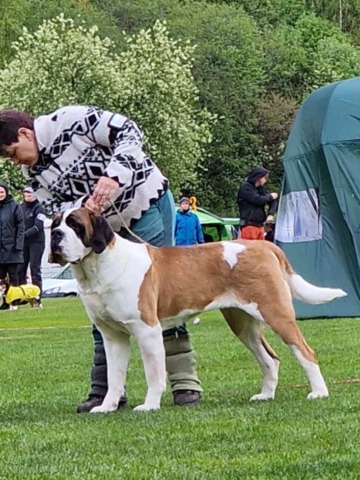 Leobuddy’s Lucia’s Bea Leobuddy’s Lucia’s Bea