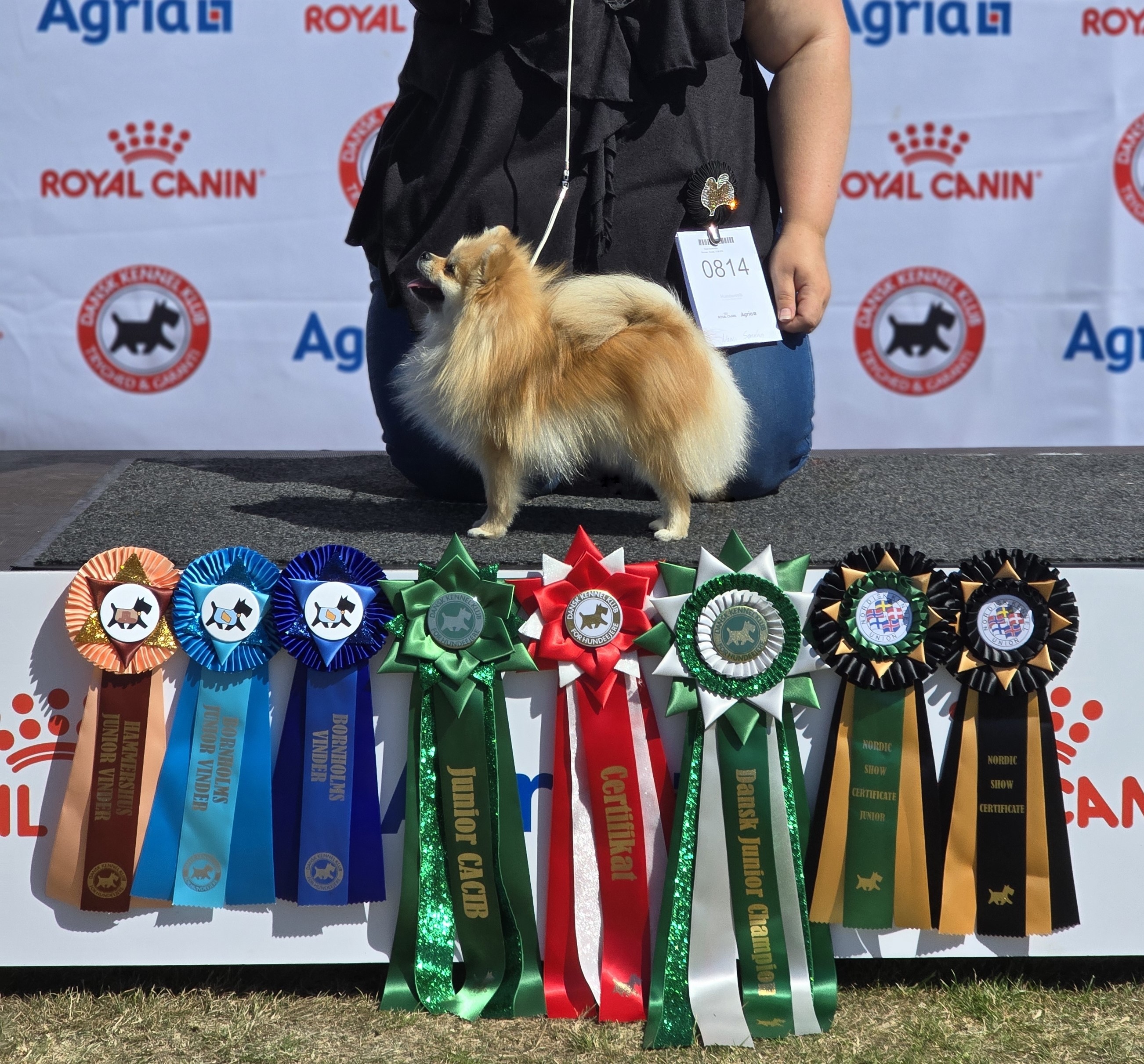 Arctic Delight` s Call Of The North