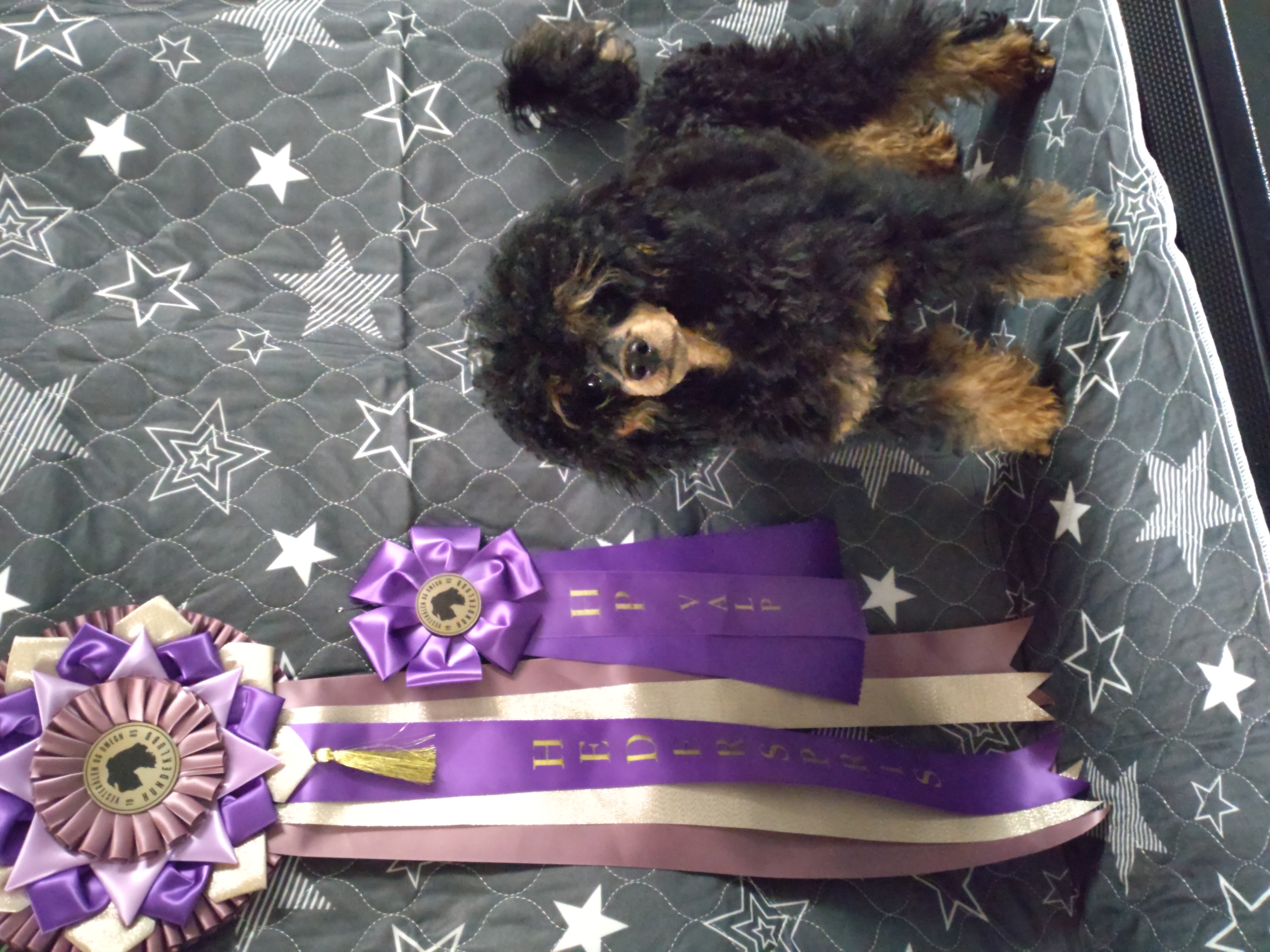 Riverbottom's Apollo Riverbottom's Apollo