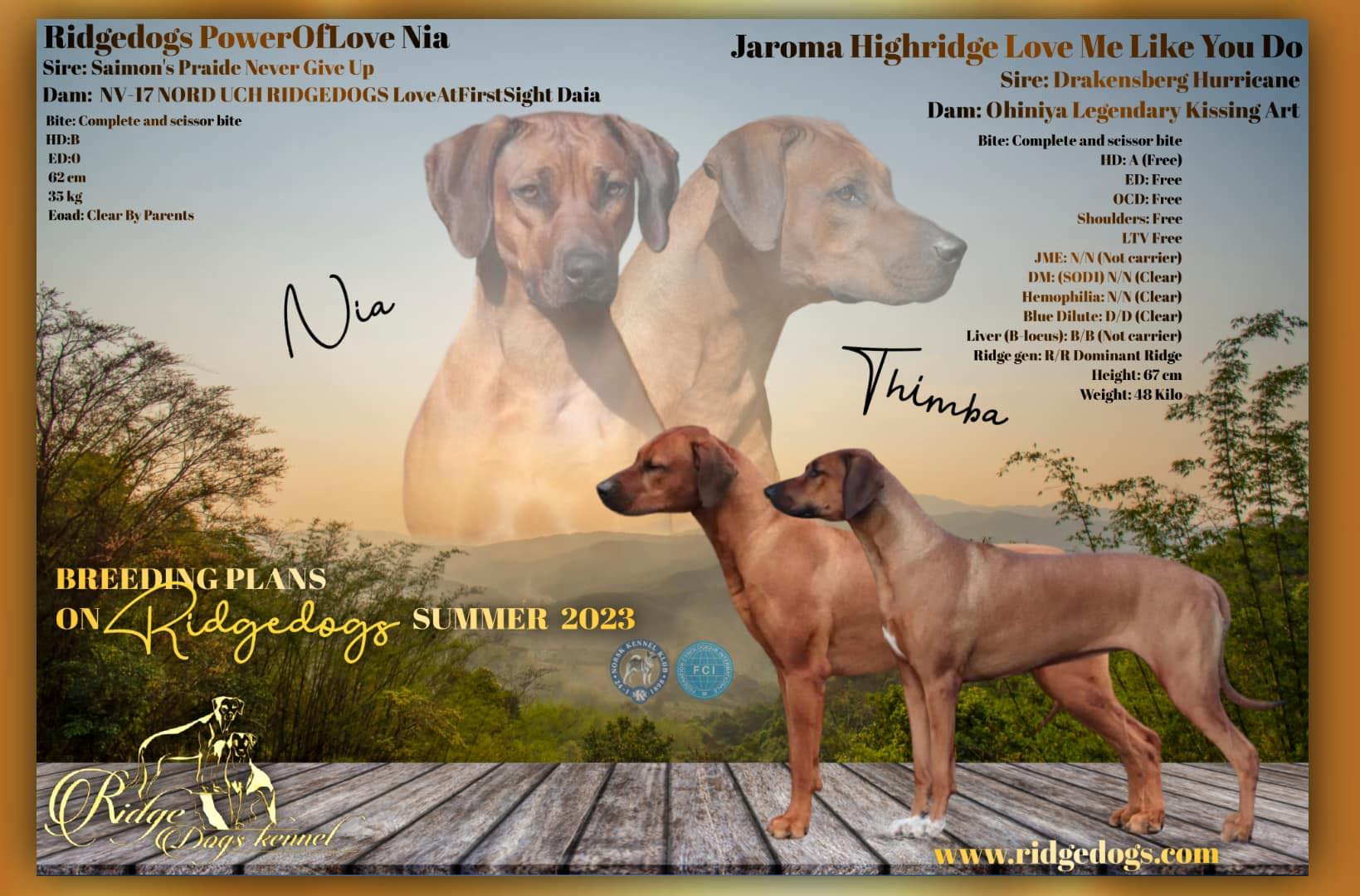 Ridgedogs Z-kull Ridgedogs Z-kull