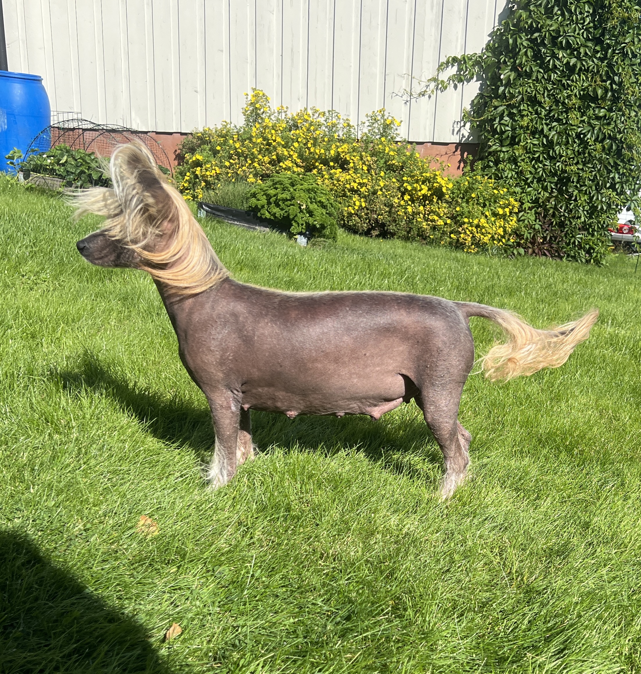 Indie - Girls Girls IndiePop Indie - Girls Girls IndiePop