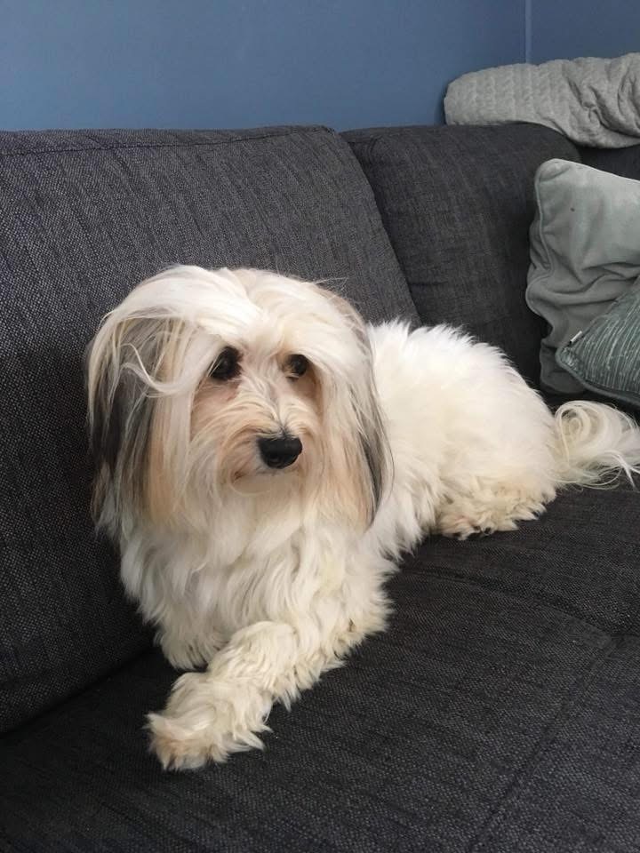 Trine Tjøsvoll Trine Tjøsvoll