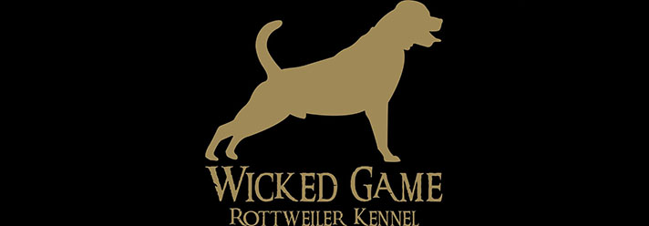 Wicked Game Wicked Game