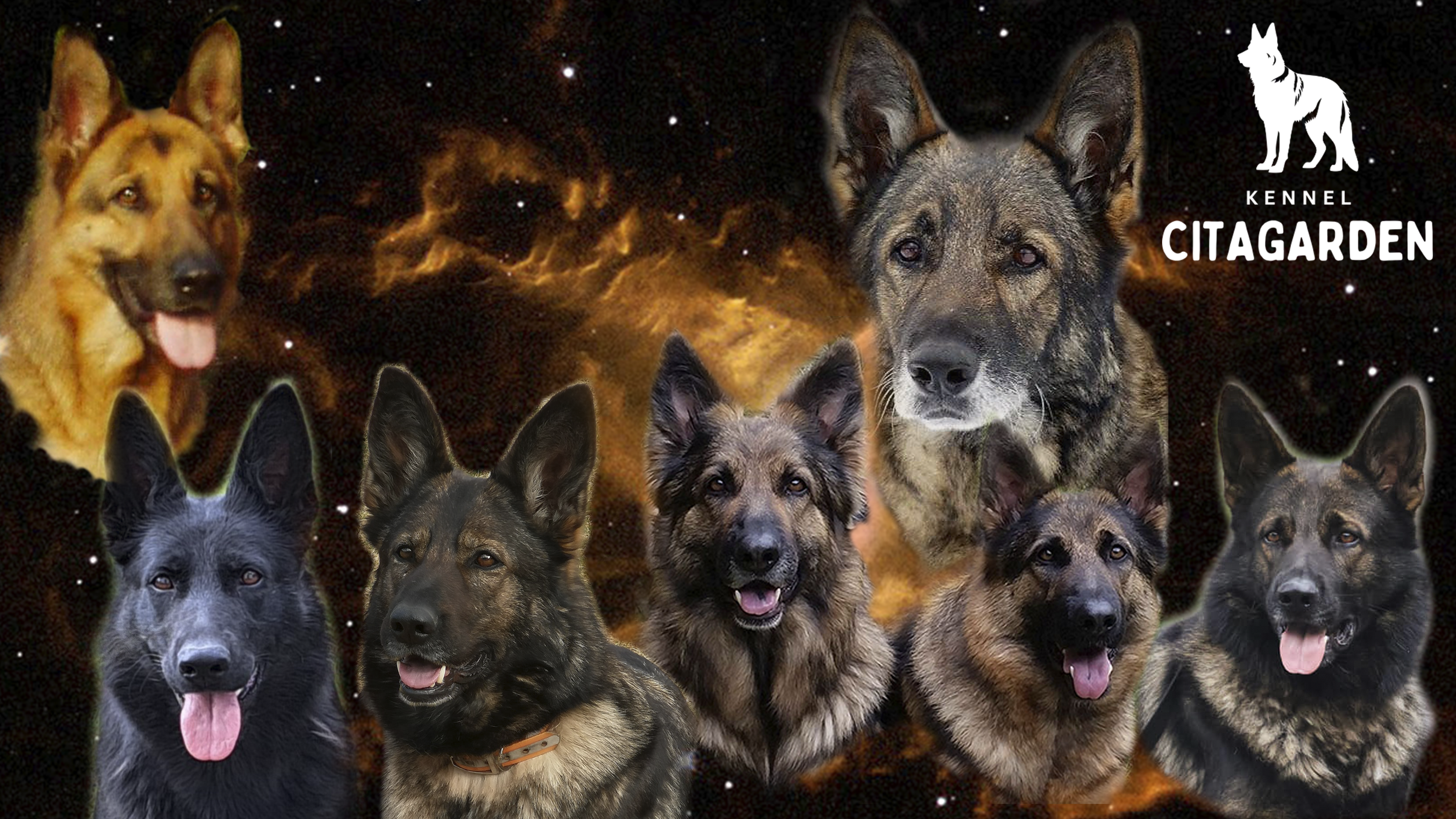 Citagarden Citagarden