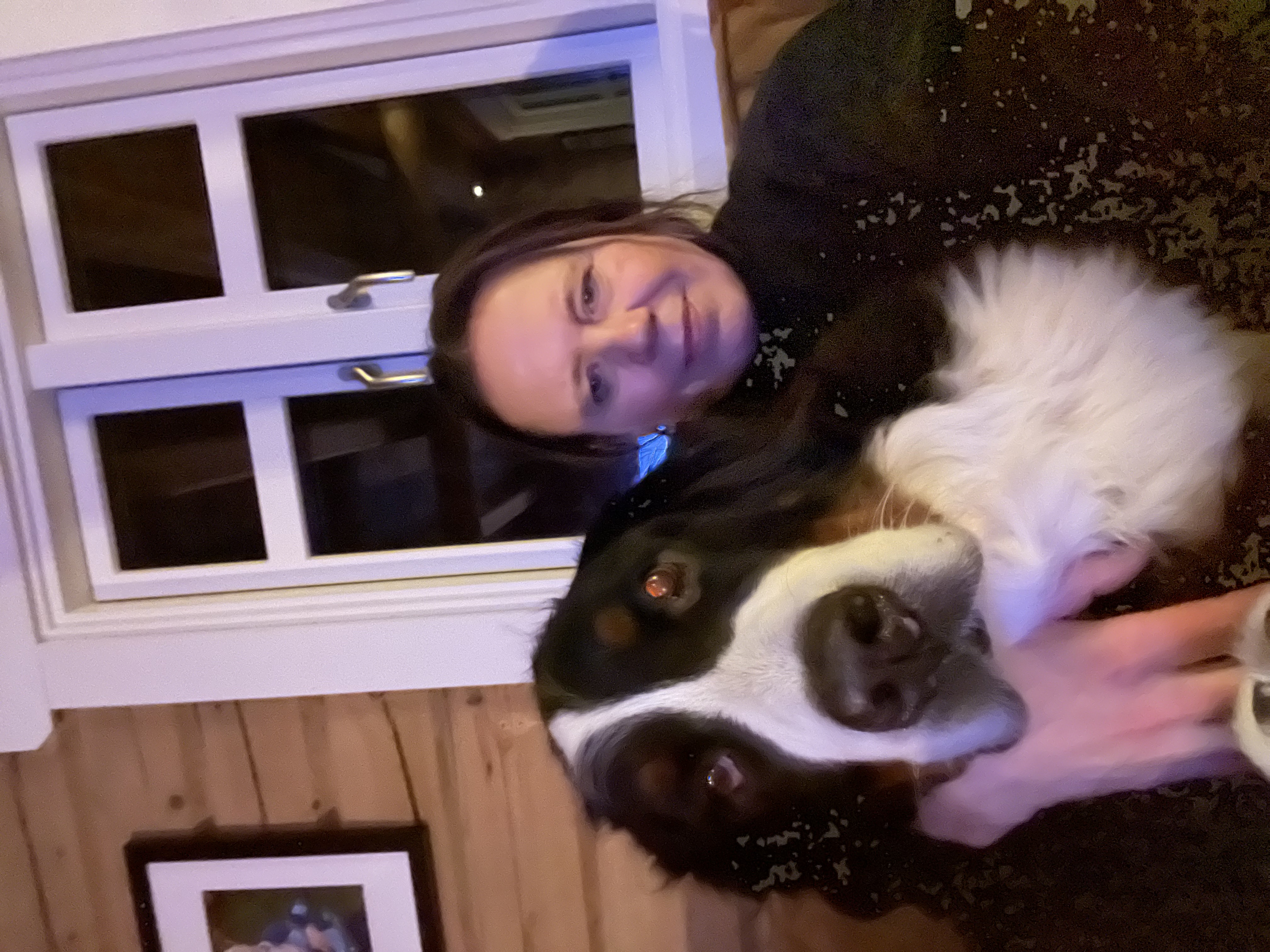 Solveig Aarbogh Solveig Aarbogh