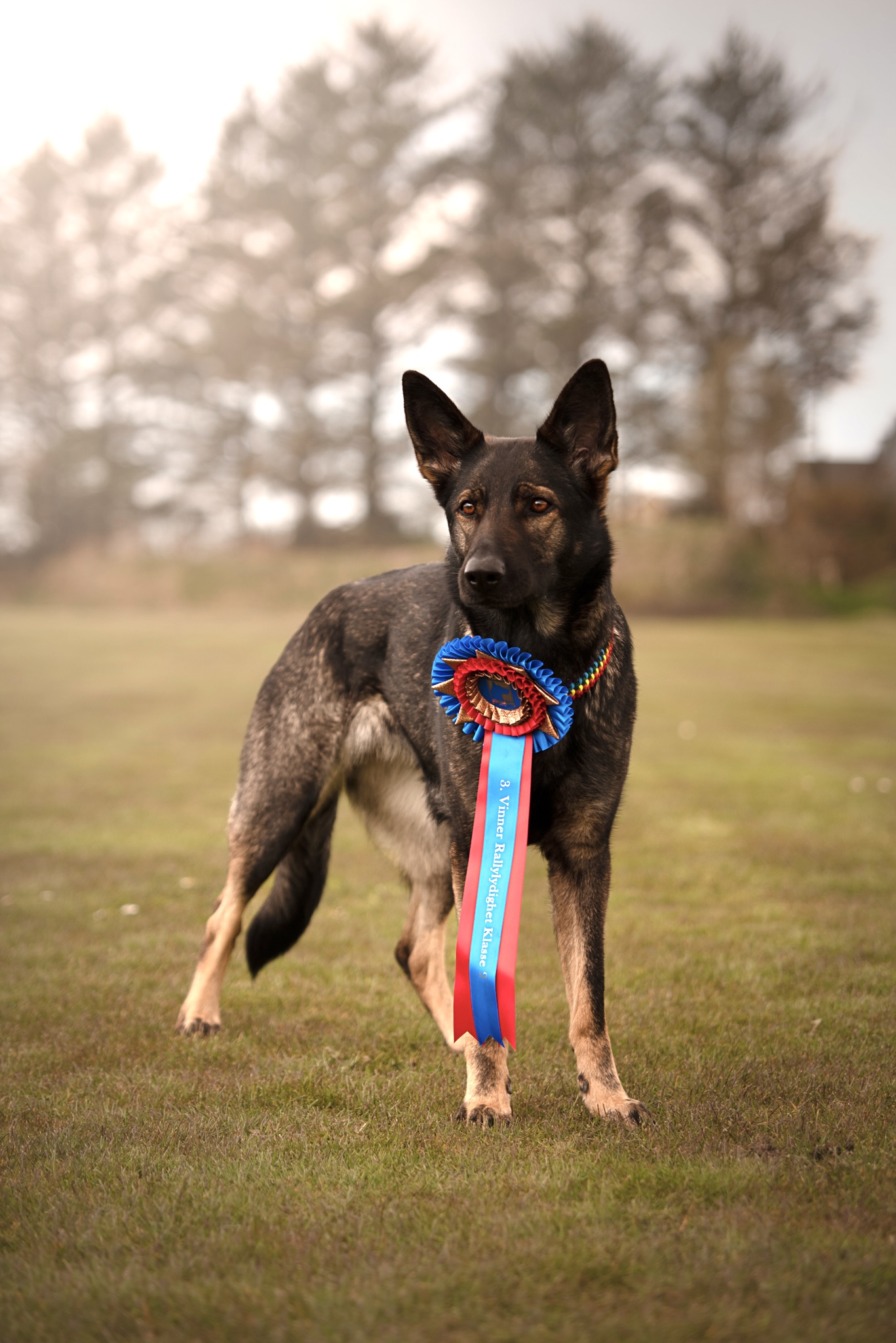 Sutherland's Focus Sutherland's Focus