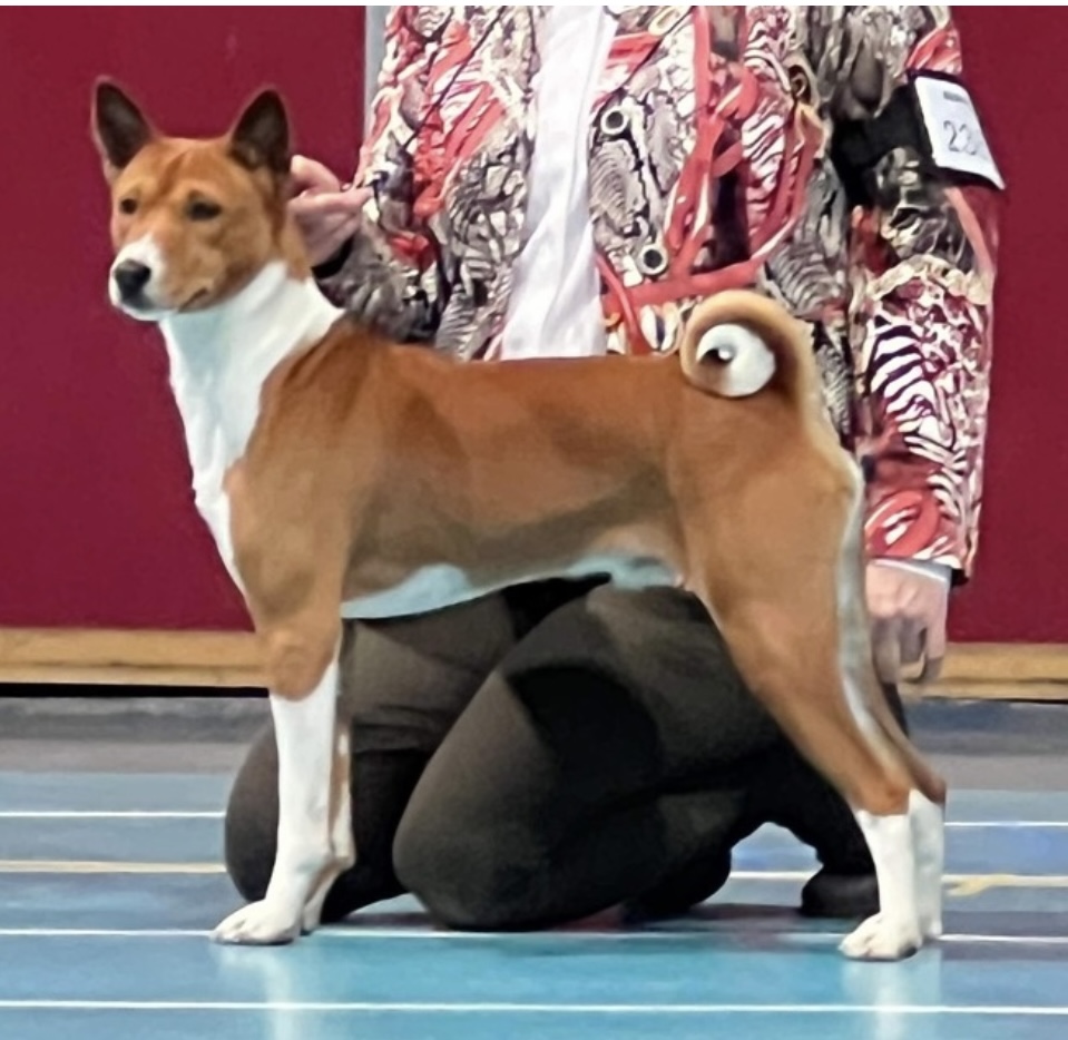 Lost on you av Chimlin Lost on you av Chimlin