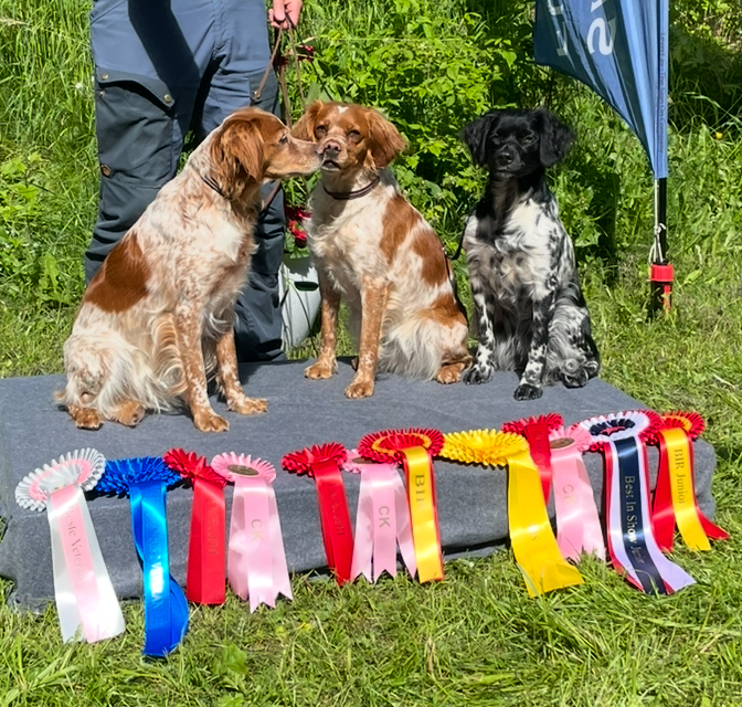 Jørn Jenssen Jørn Jenssen