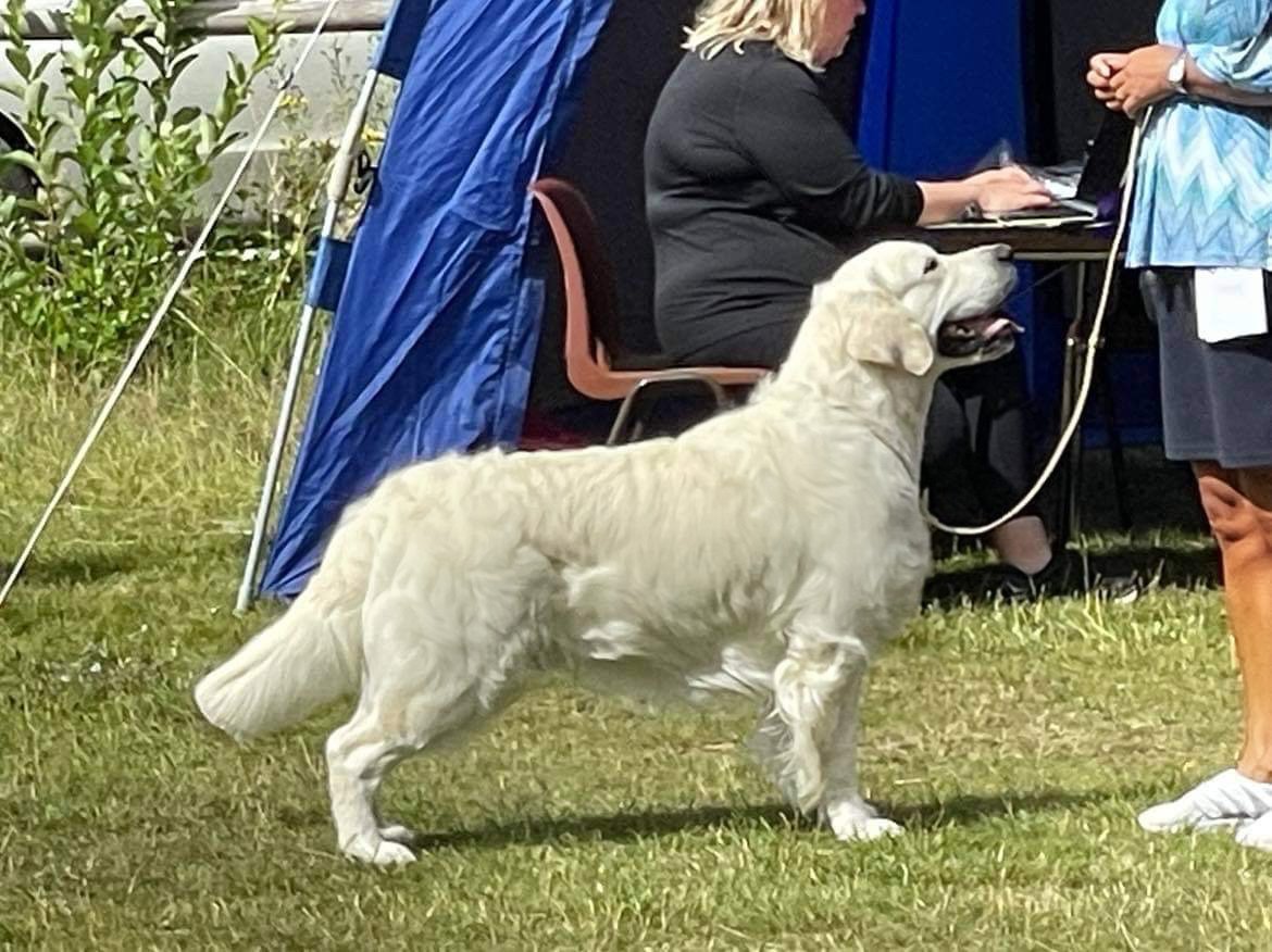 Sunny delights kick off Sammy